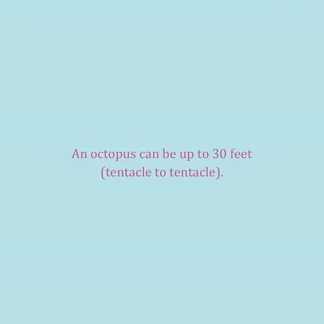  re: octopus facts