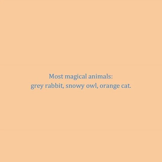 re: animal magic
