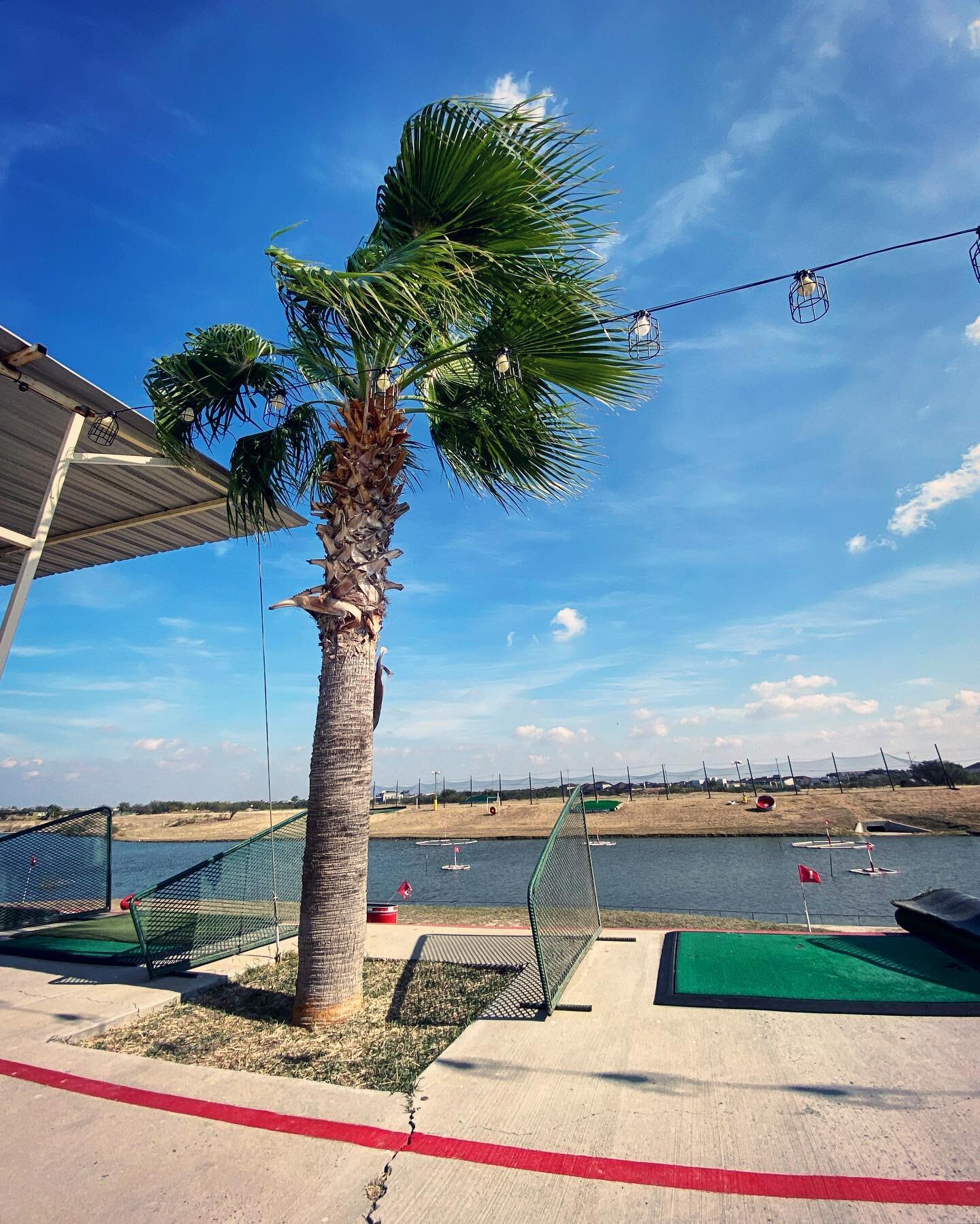 Due to the high winds Laredo has had today, @alexanderminigolf will be closed. But worry not! Come catch us next weekend! ⛳️ Open Friday-Sunday! 3:00PM-9:00PM! Last sale is at 8:45. Have a good Sunday folks! 🌥

#956 #laredo #southtexas #thingstodoin