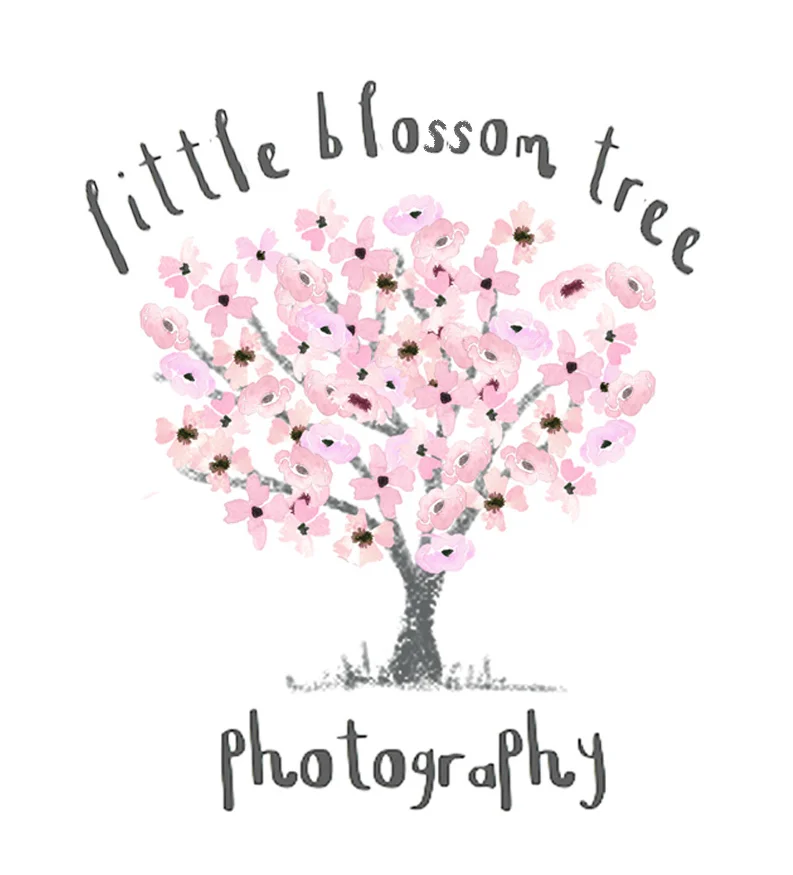 Newborn / baby shoot session fee