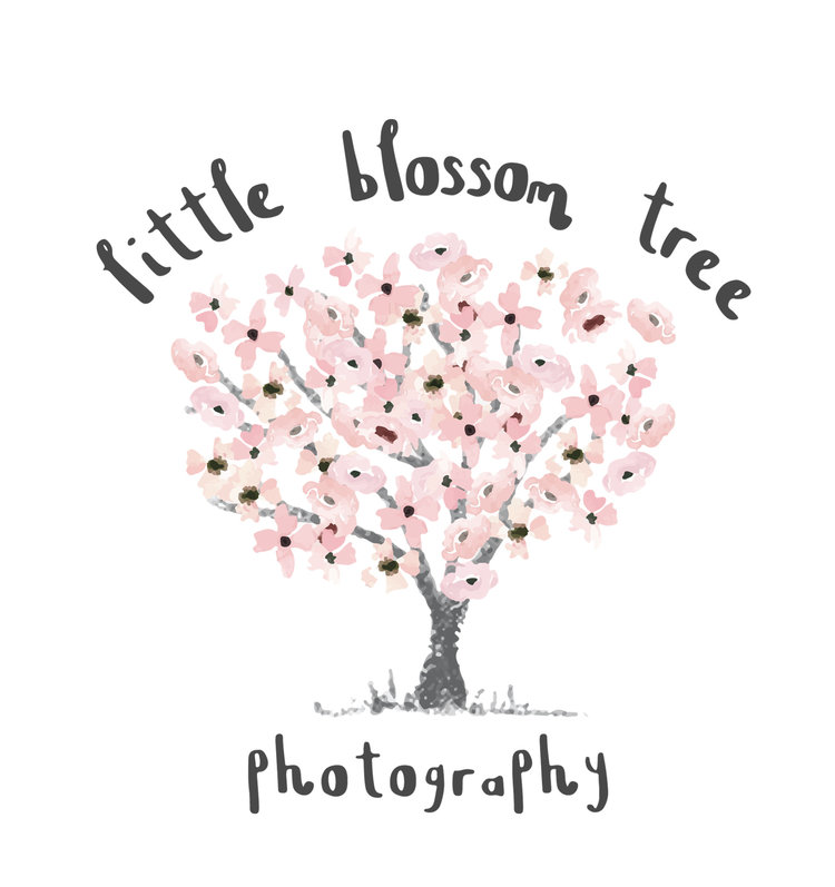Little Blossom Tree Photography