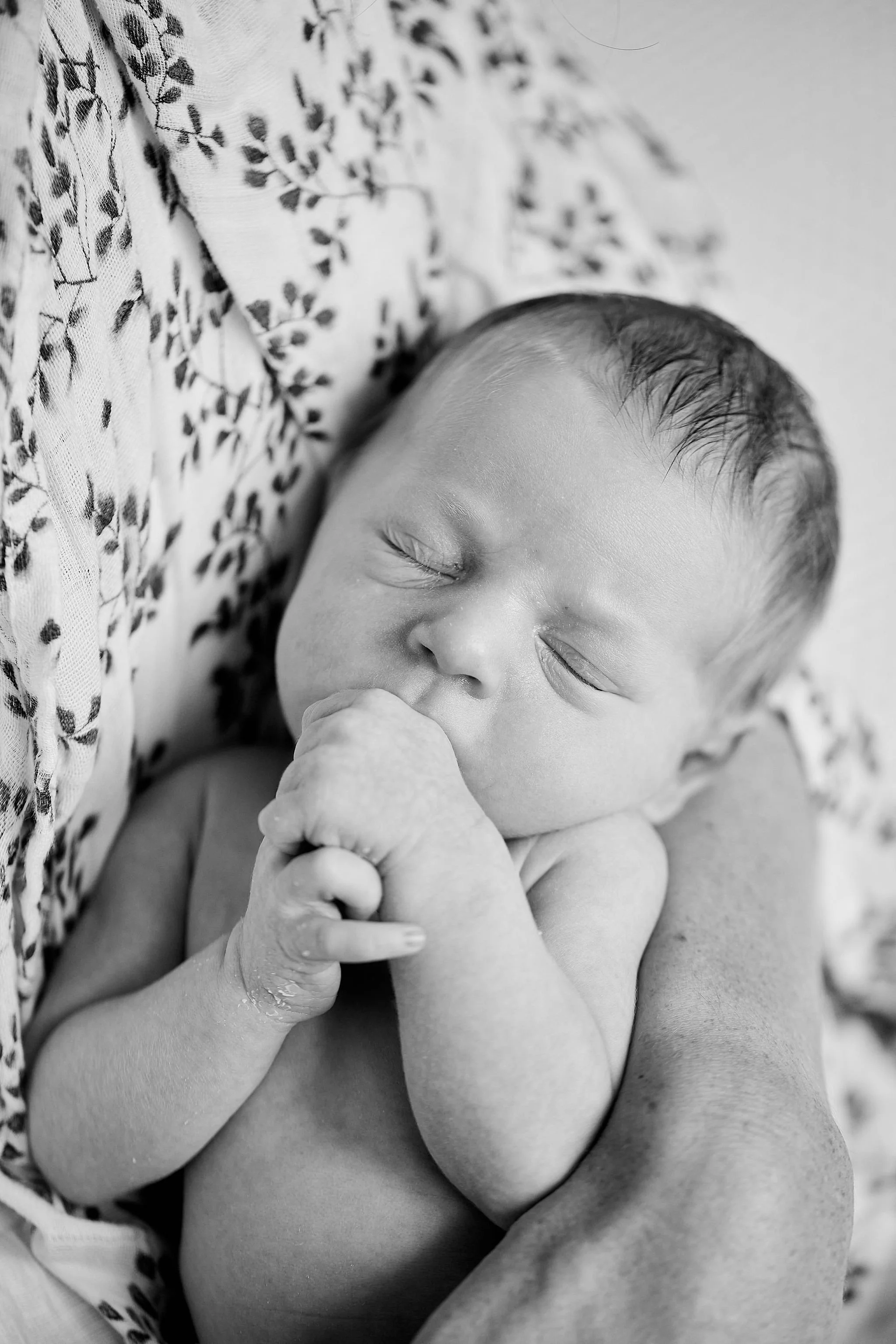 LindsayFamily082.jpg