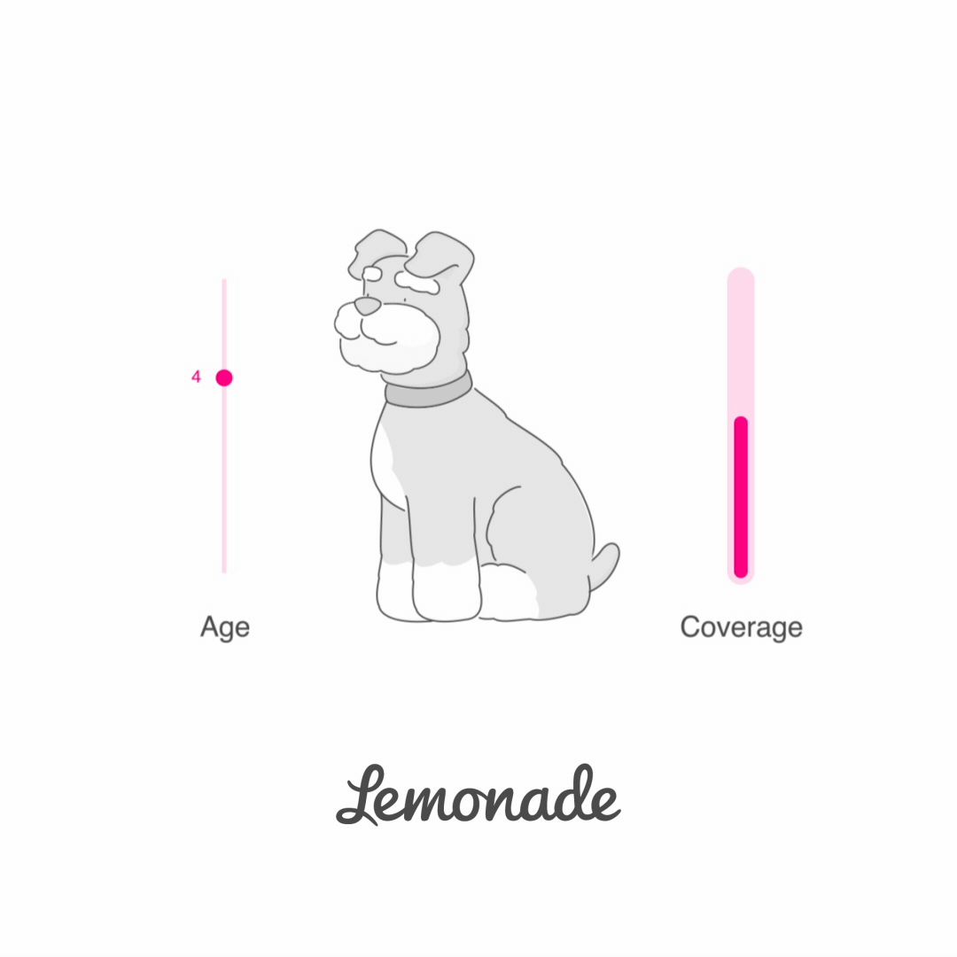 Explainer_4.gif