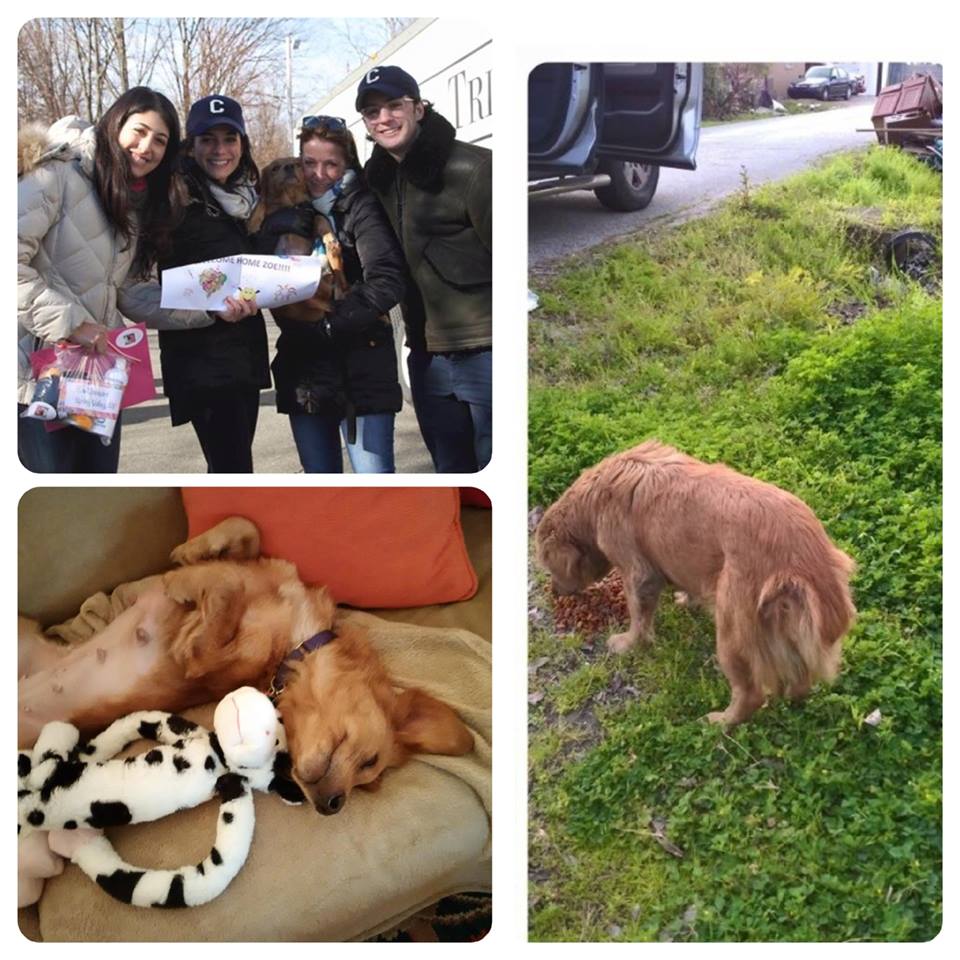 A collage showing her on the streets of Houston before (far right), and after (two left photos) when she arrived in NY. photo credit: top left photo in collage taken by Jane Zippilli . 