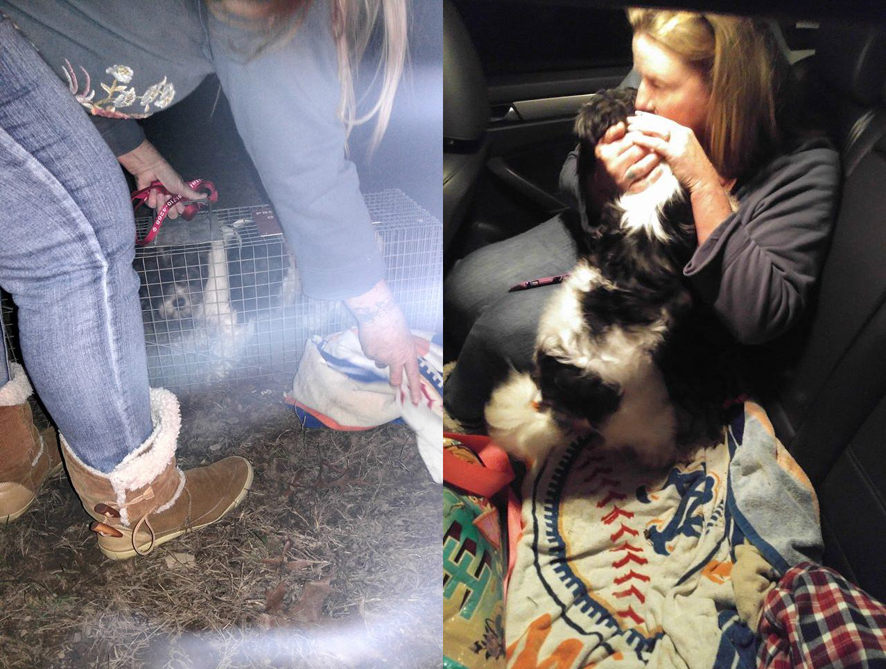 Darci and Aaron trapping Marley in New Jersey.
