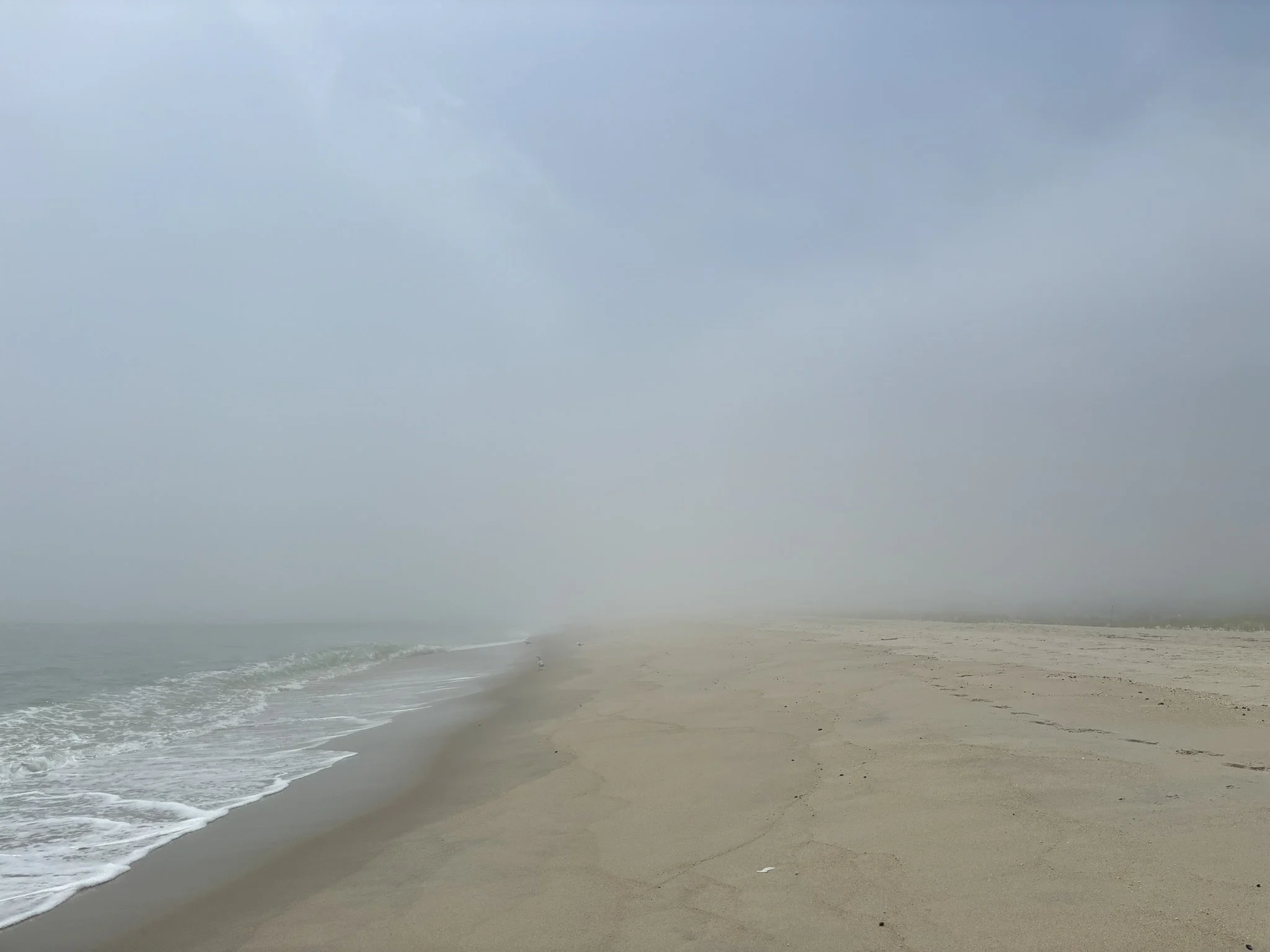 When the Body Speaks and We Don’t Listen