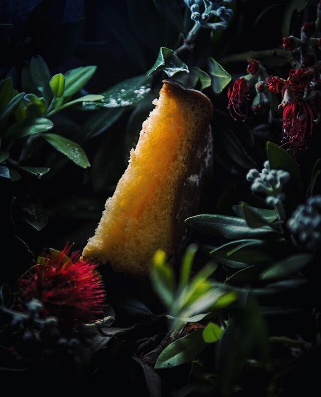 ⁠⠀
I love the way the Pohutukawa tree flower blend seamlessly with my Pandoro to create the classic Christmas color palette. In Italy we have the &quot;Stelle di Natale&quot; as a decoration, here in NZ the Pohutukawa works just as good!⁠⠀
⁠⠀
⁠⠀
I wa