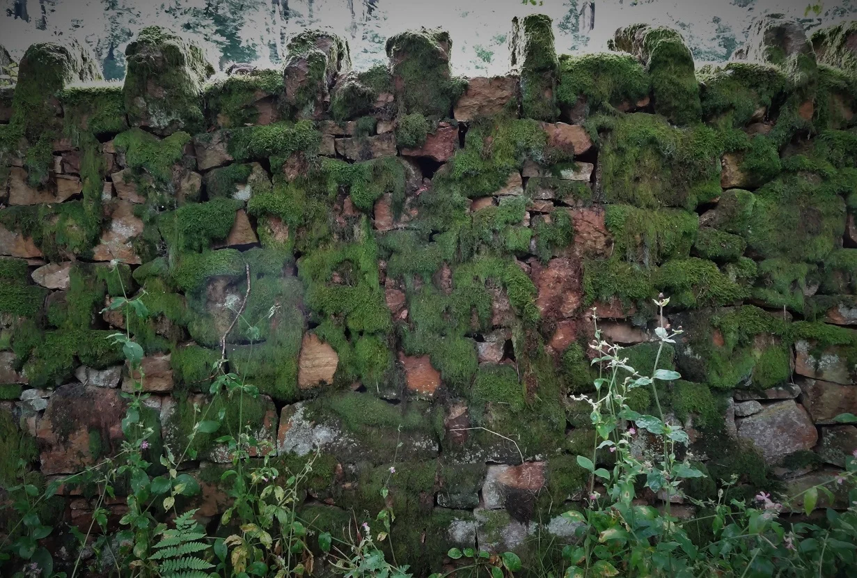 An old wall in Abbeystead near where I grew up. 