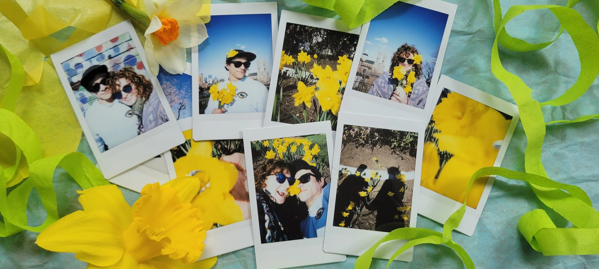 Daffy poloroids.jpg