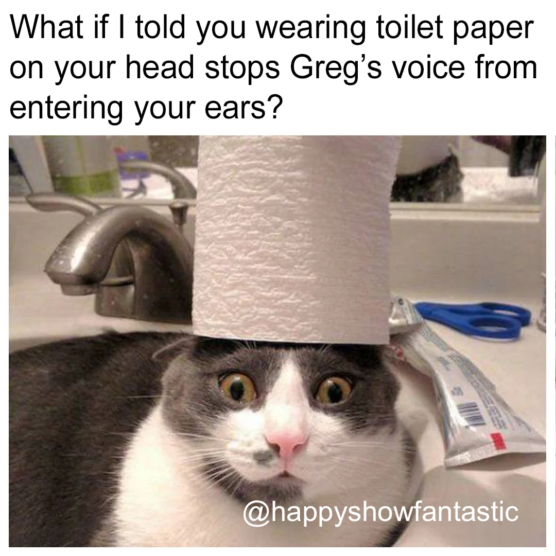Toilet Paper Cat