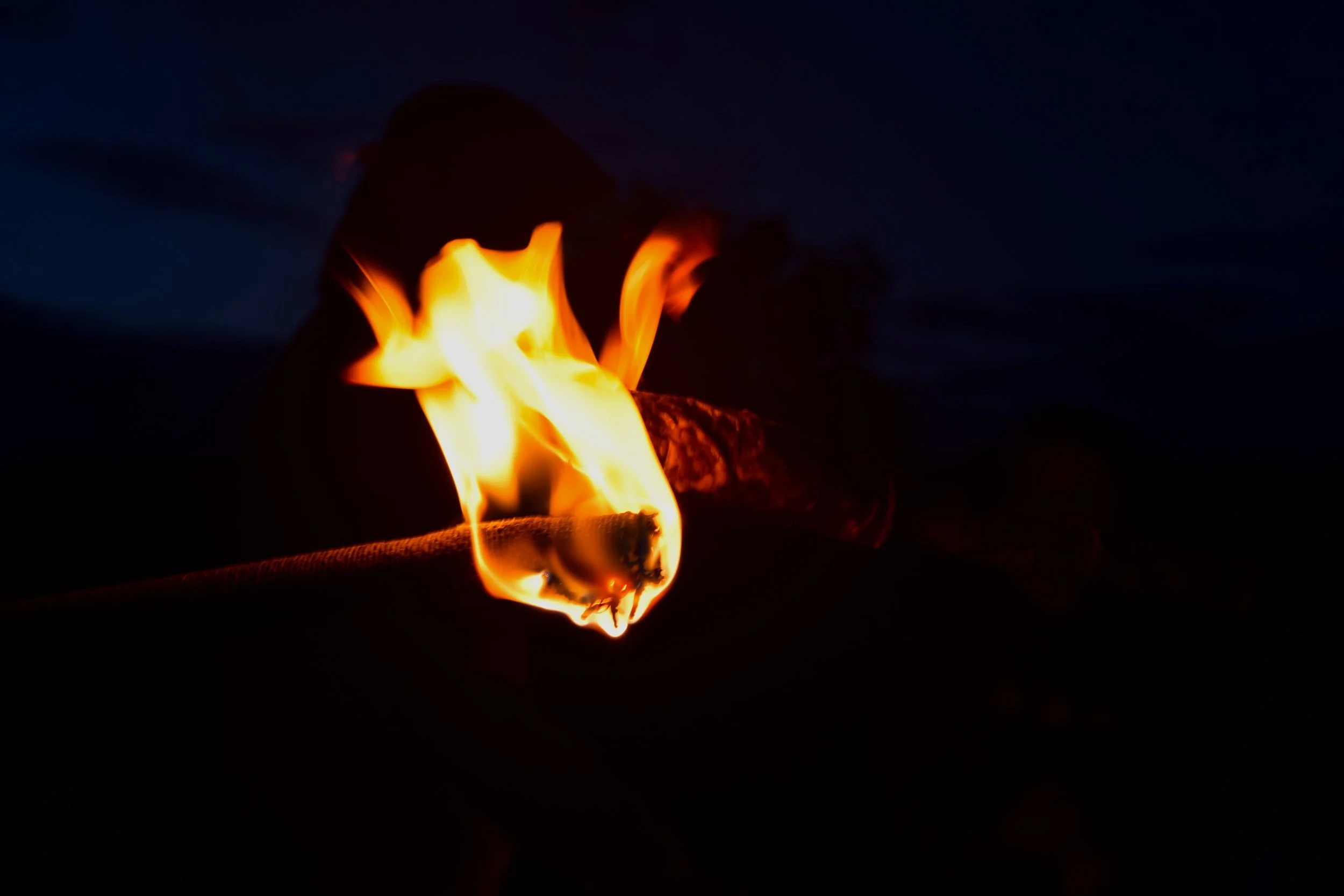 DSC_0595.jpeg