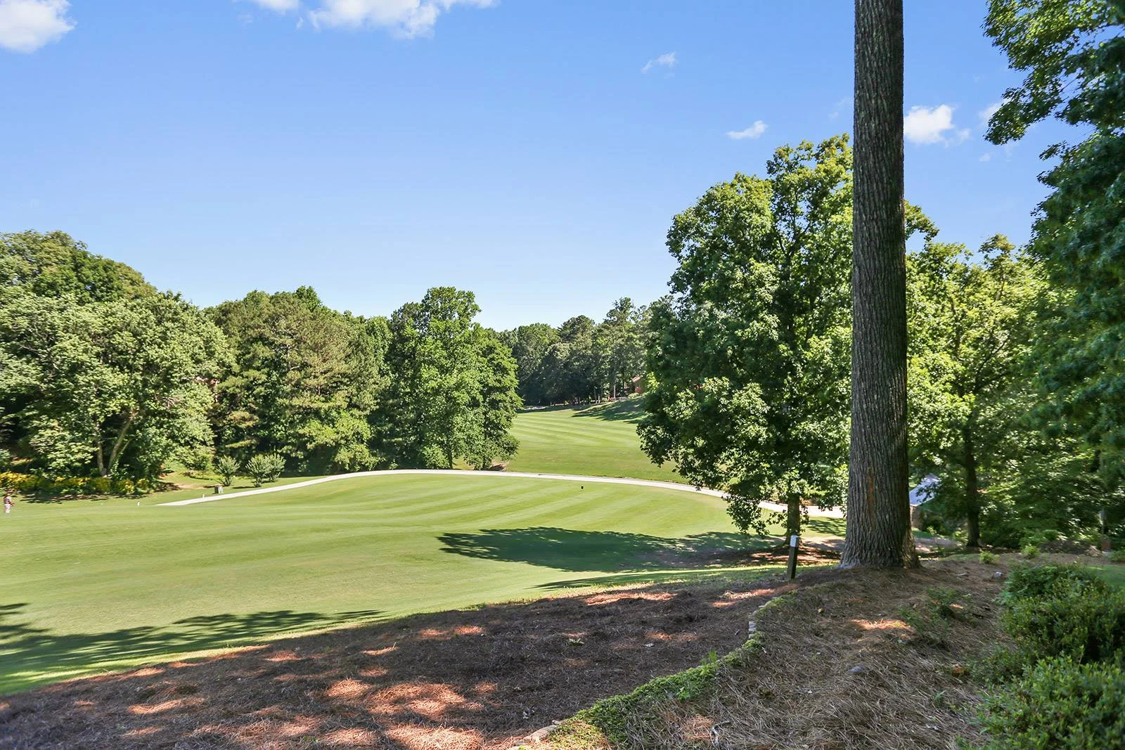 12th fairway of willow springs Golf &amp; Country Club