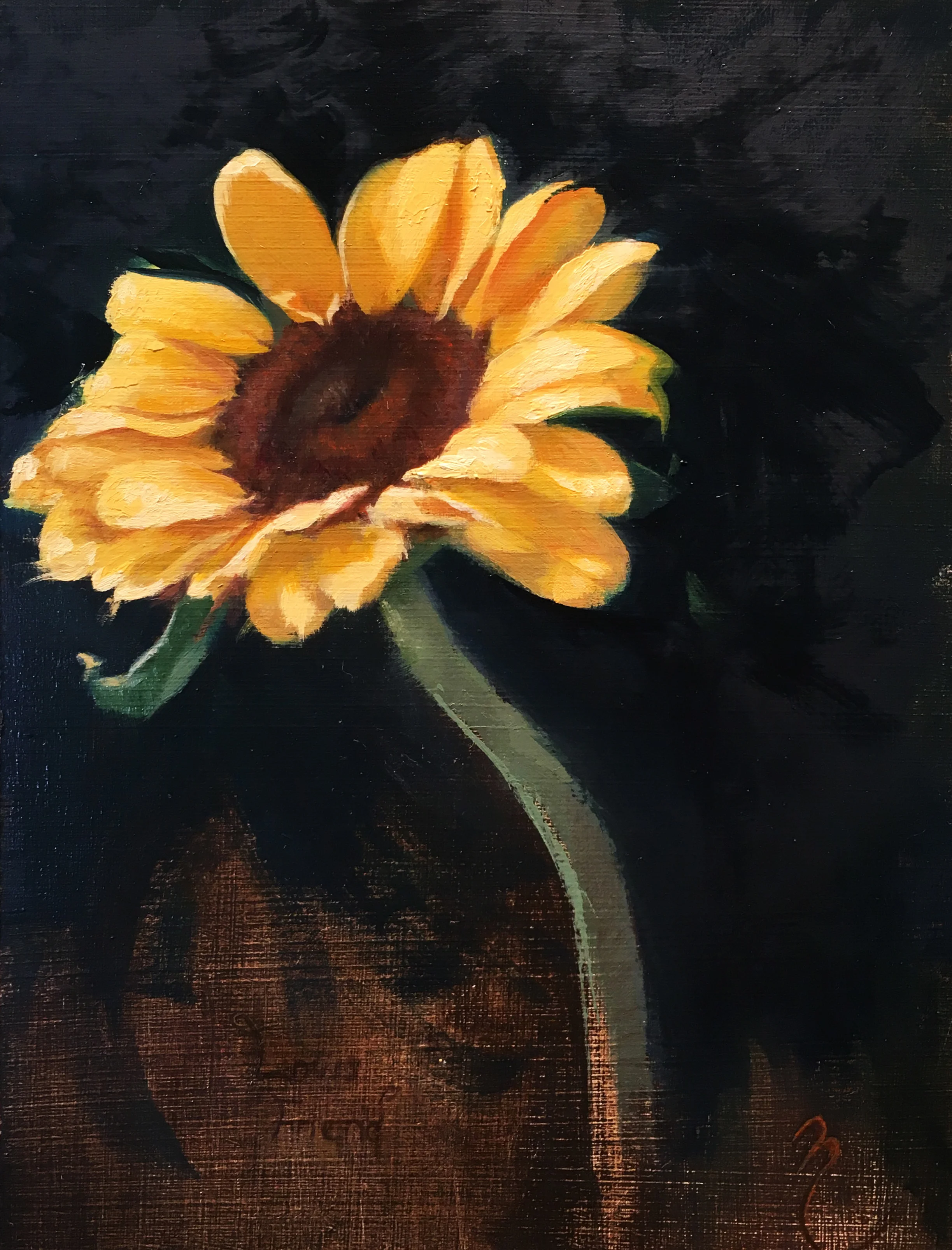 Sunflower.jpg
