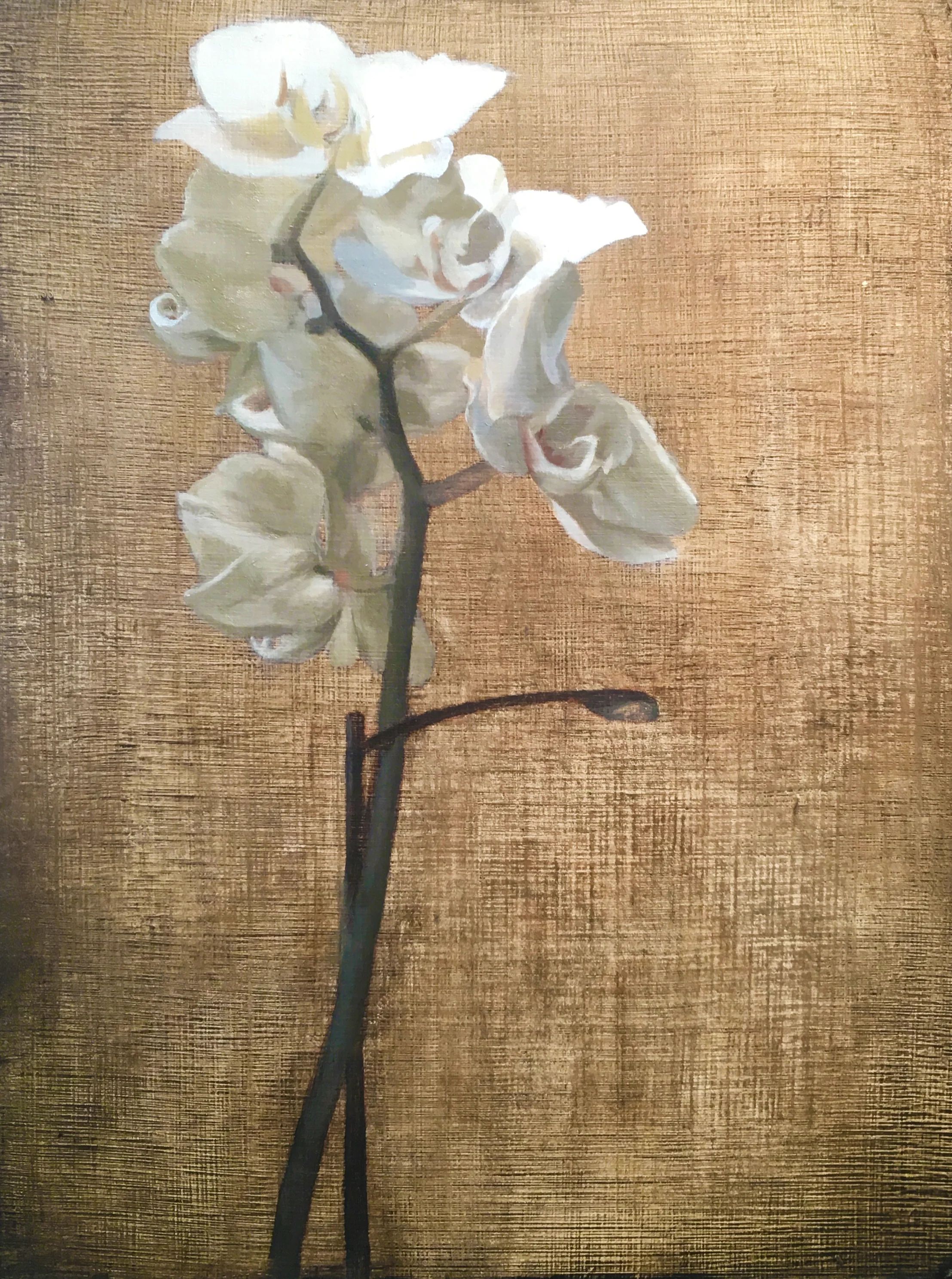 The Jealousy of Orchids.jpg