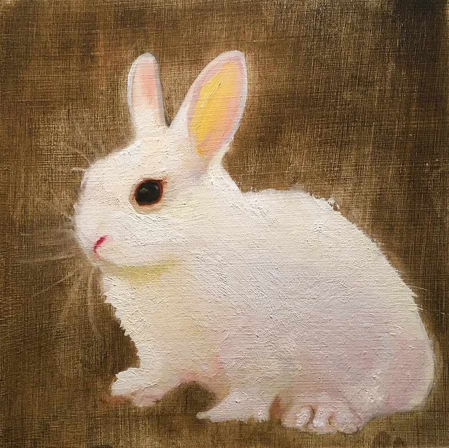 bunny.jpg