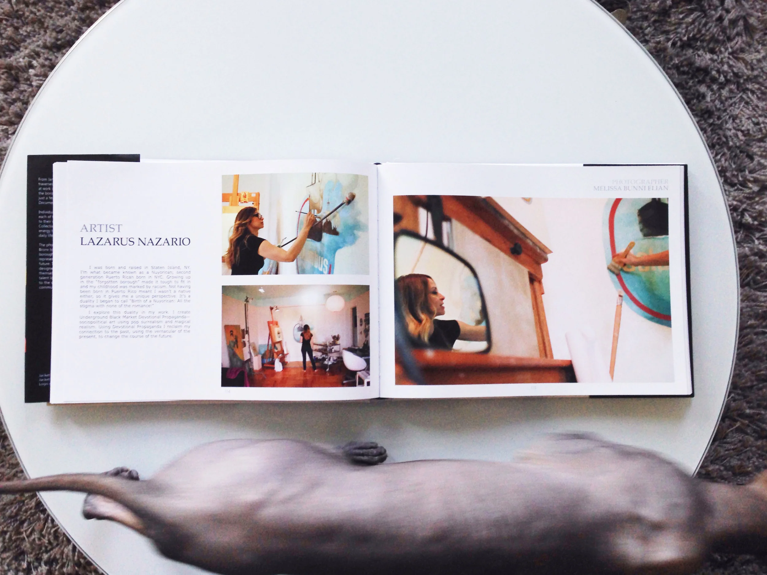My feature in the book with a cameo by Onji, my fearless Sphynx cat.