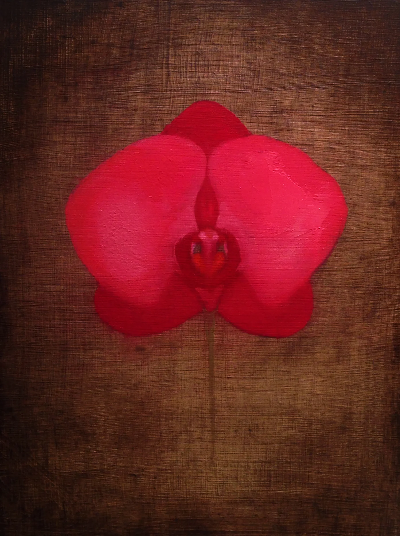 An Orchid for Sara.jpg
