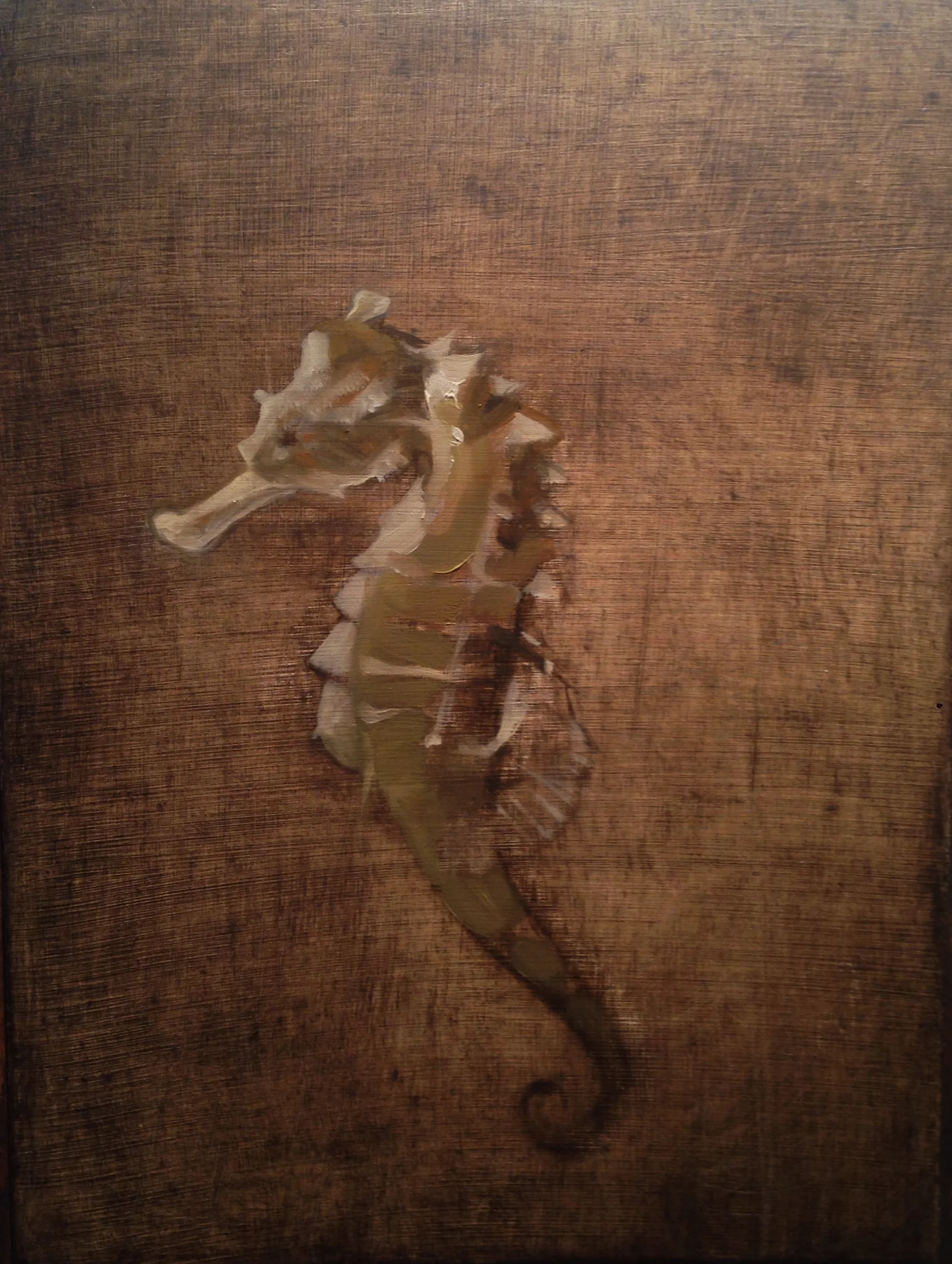 Sea Horse.jpg