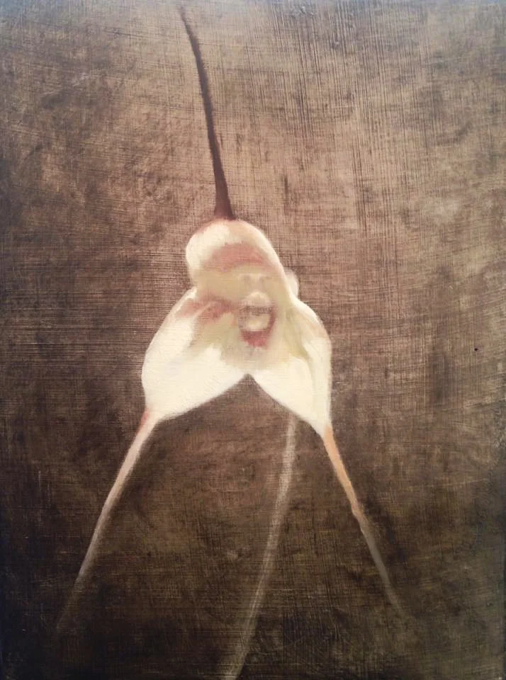 Monkey Orchid.jpg