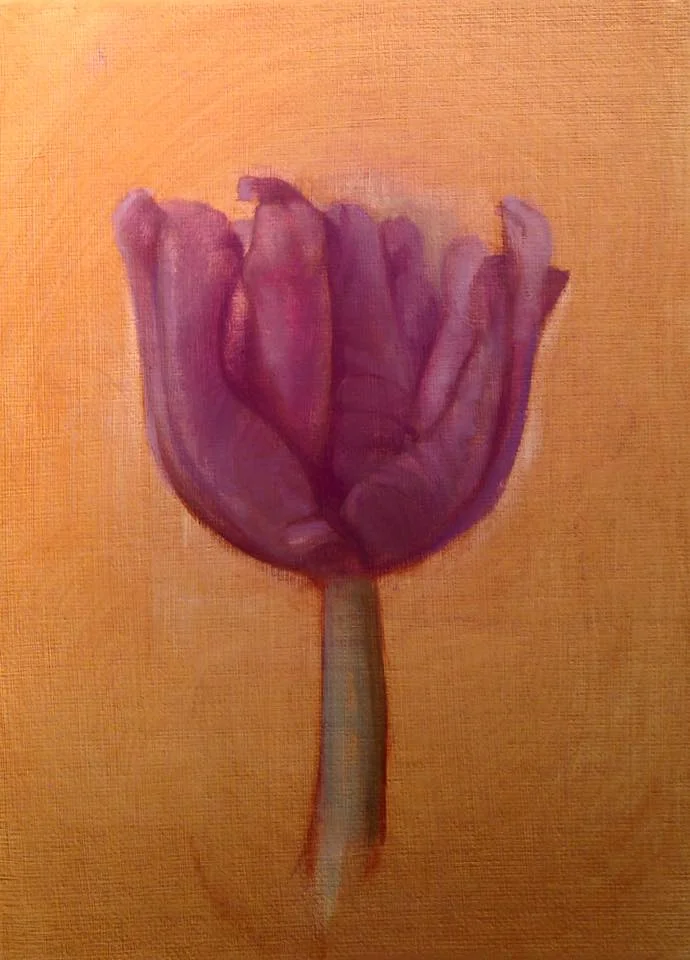 tulip.jpg