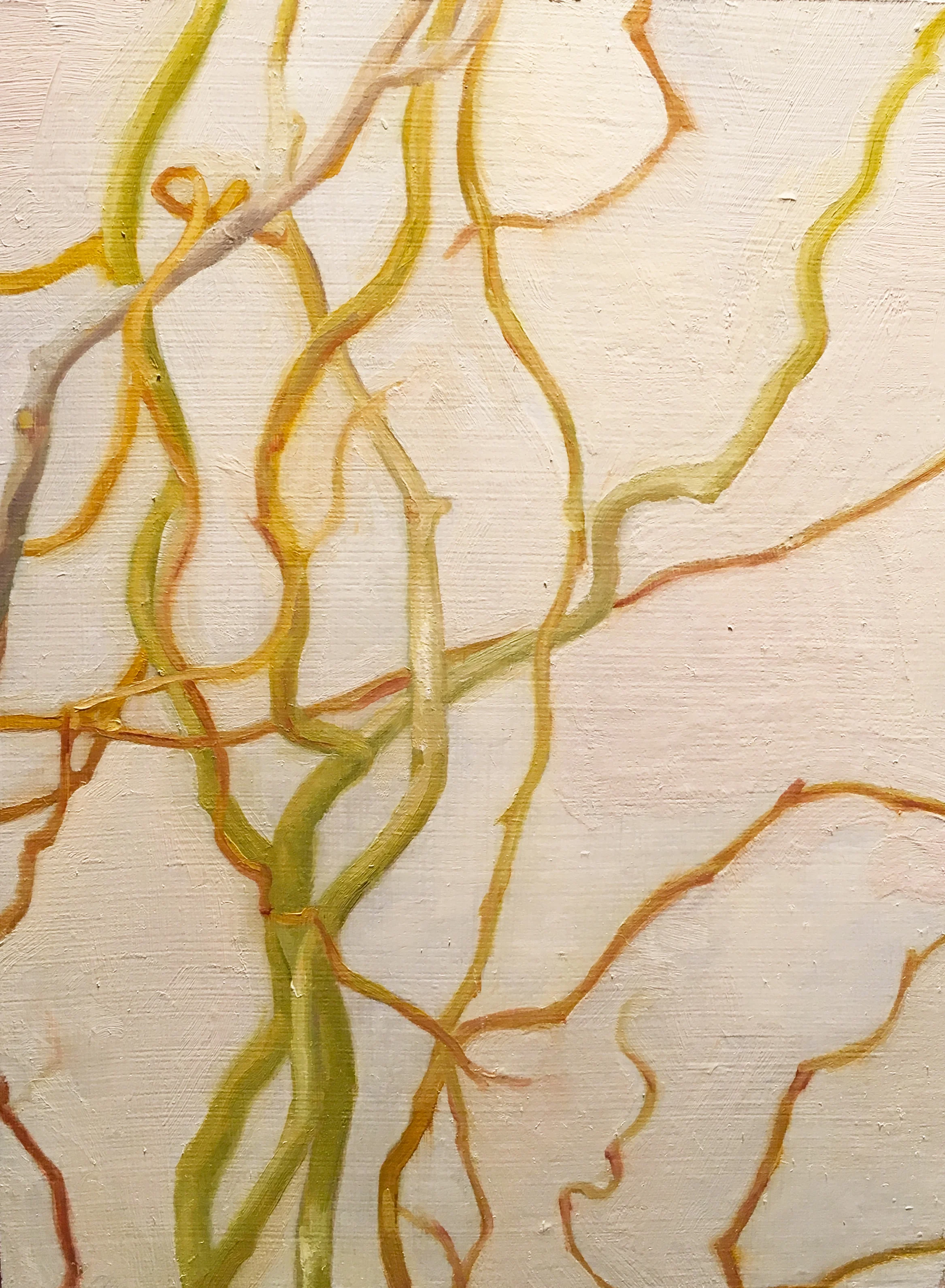 curlywillow.jpg