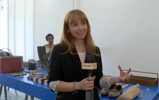 Screen grab from my interview with Bronx.net.