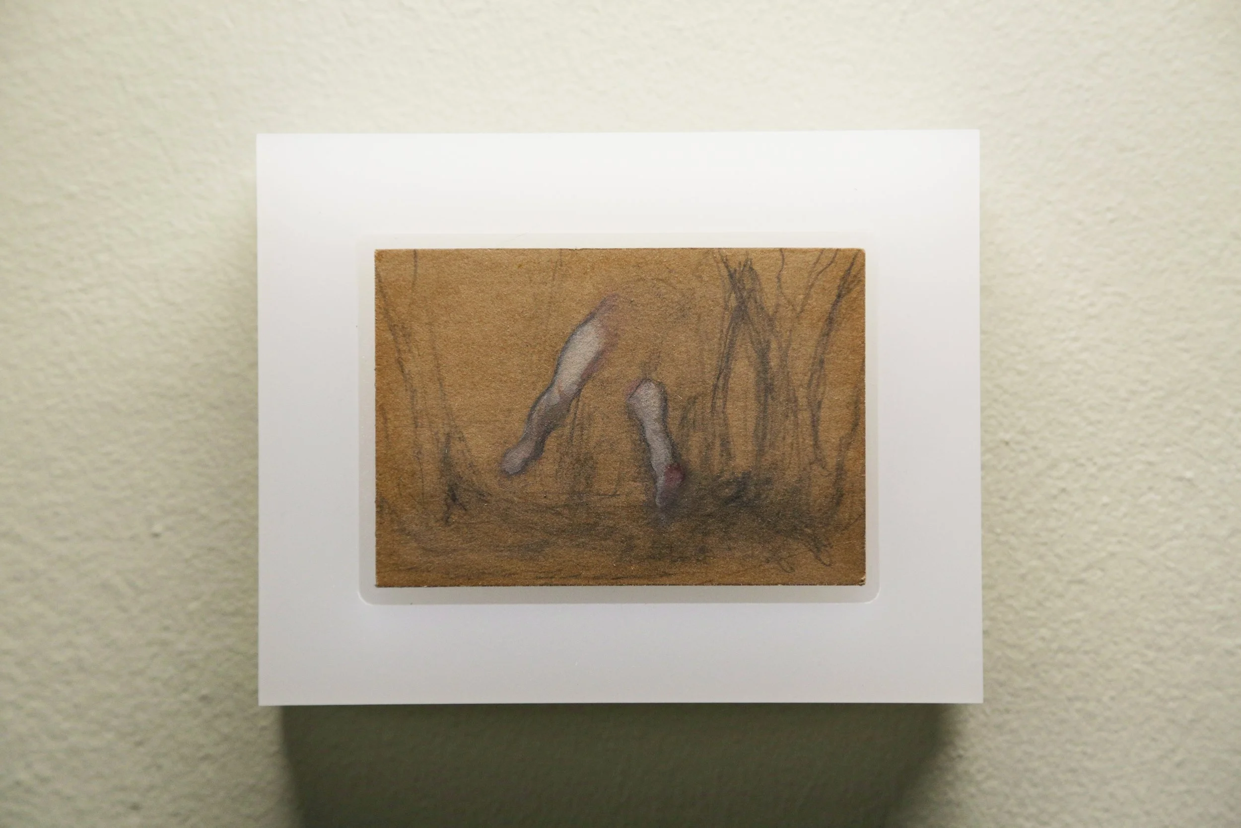 Ghost Forest horiz shop still.JPG