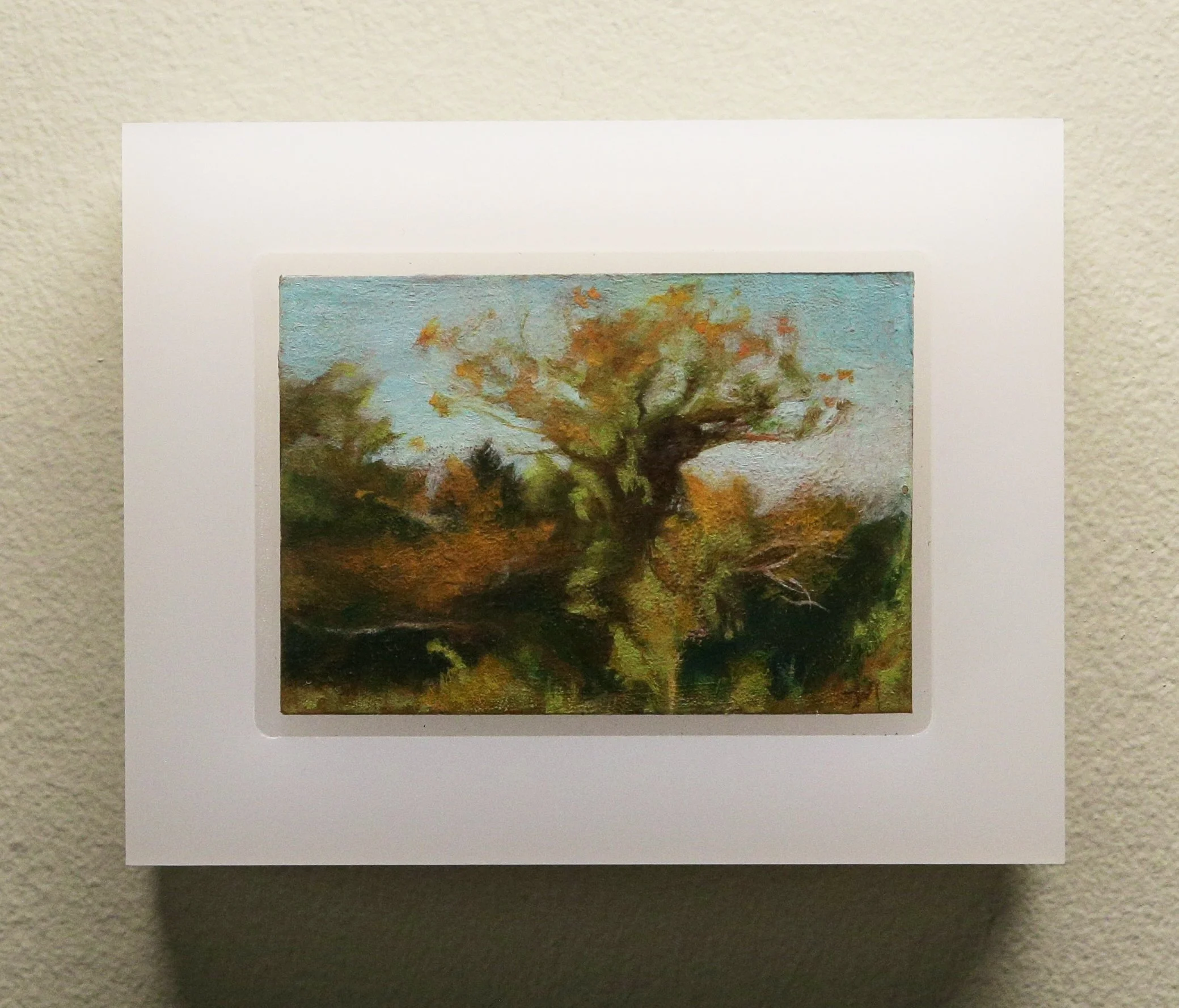 Winter Tree horiz shop still.JPG