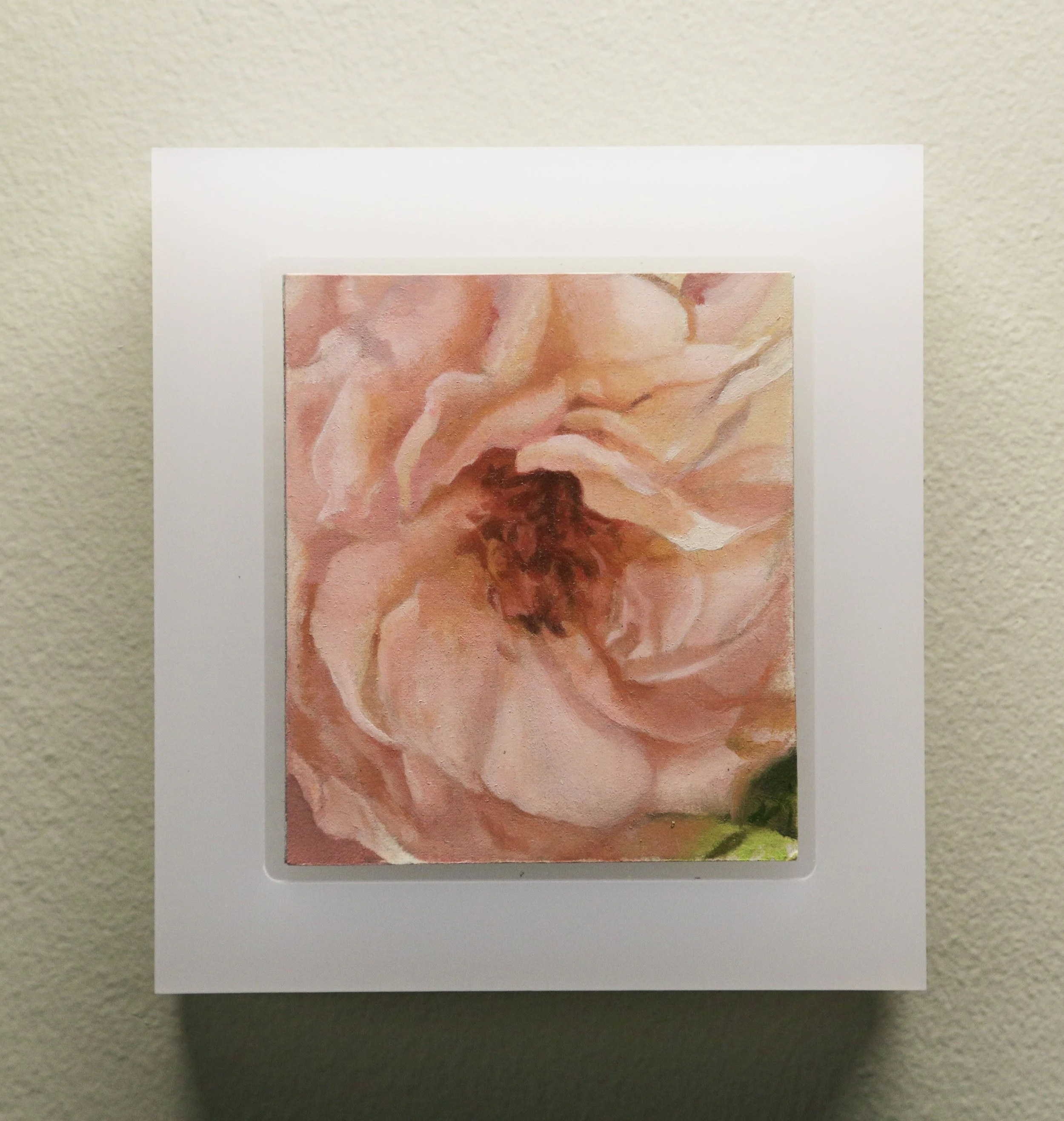 Secret Garden horiz shop still.JPG