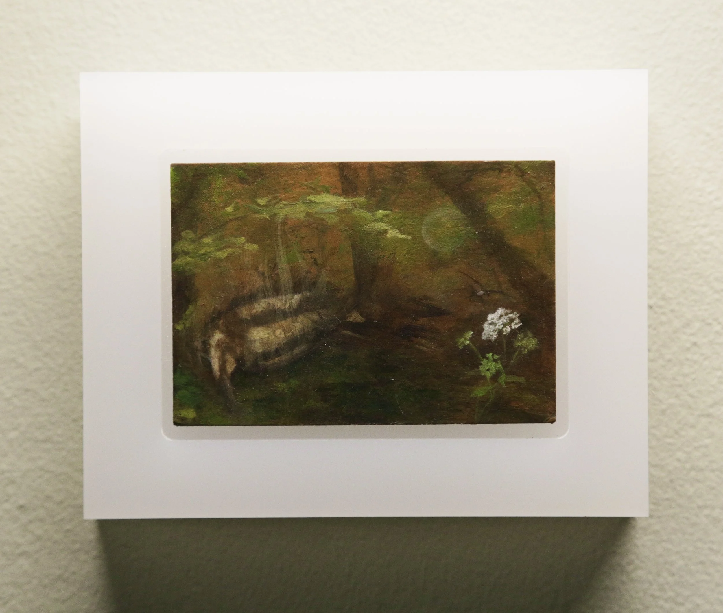 What Lies horiz shop still.JPG