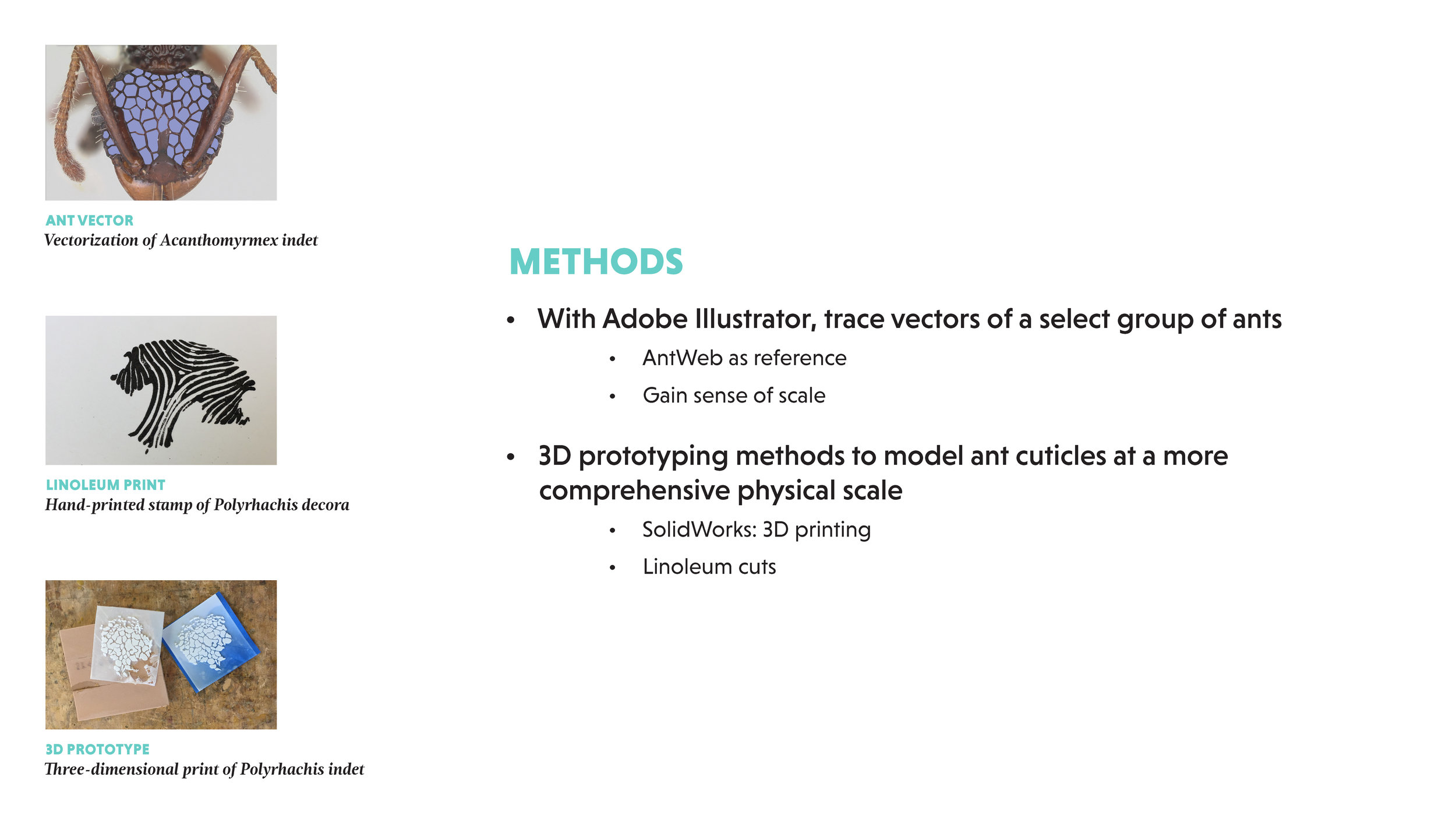 A.N.T FINAL PRESENTATION_Page_06.jpg
