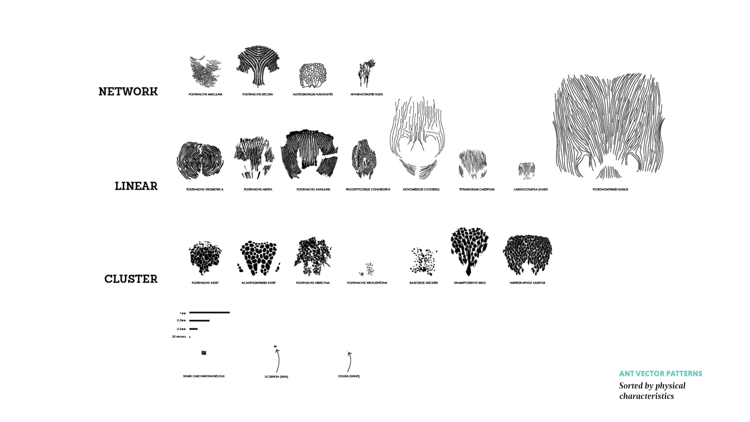 A.N.T FINAL PRESENTATION_Page_13.jpg