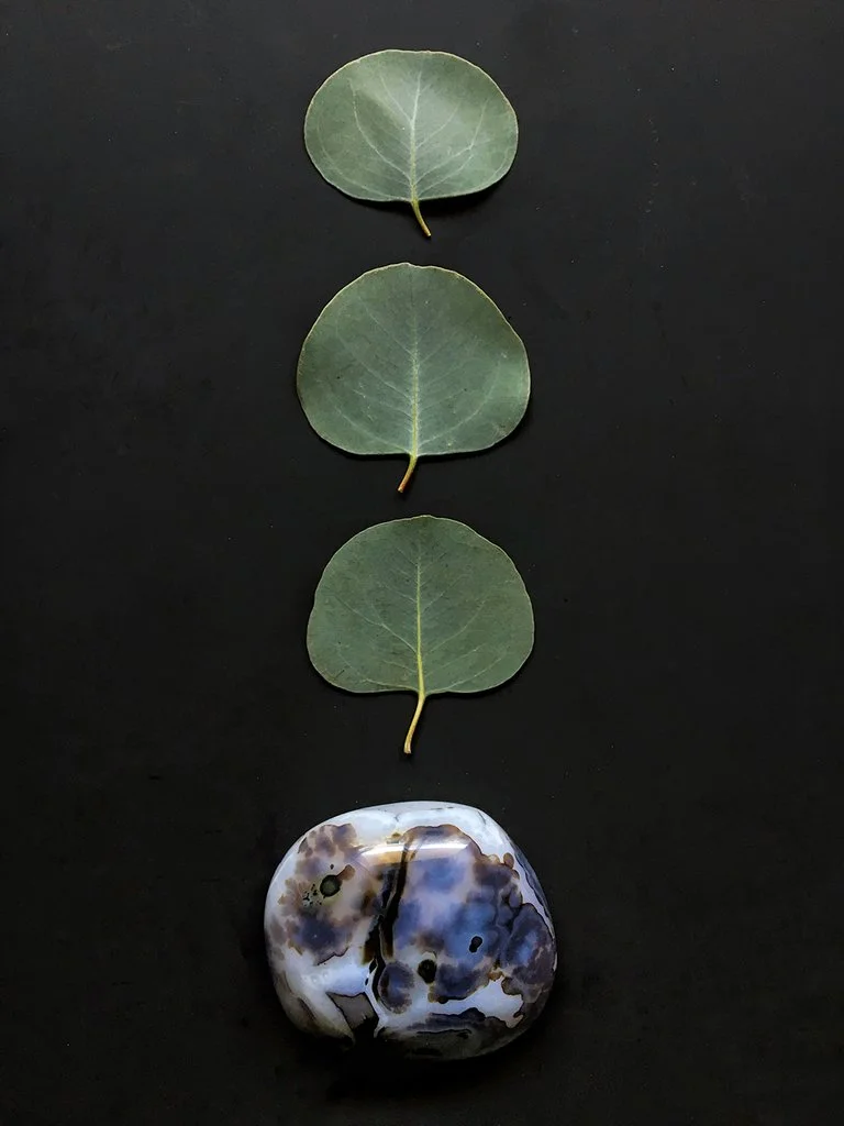 Dendritic_Agate1_vert_1024x1024.jpg