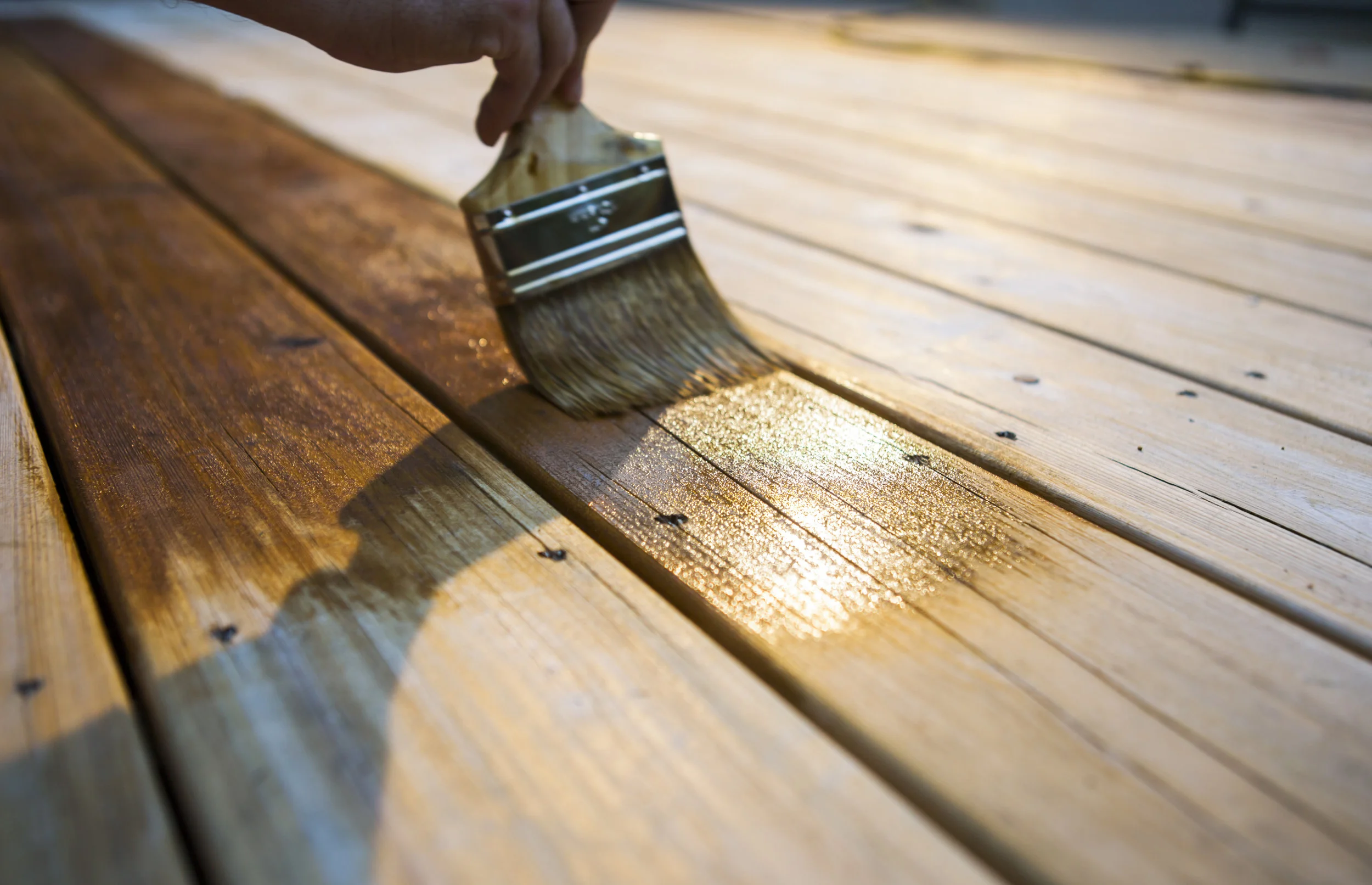 iStock_21818616_XLARGE.jpg
