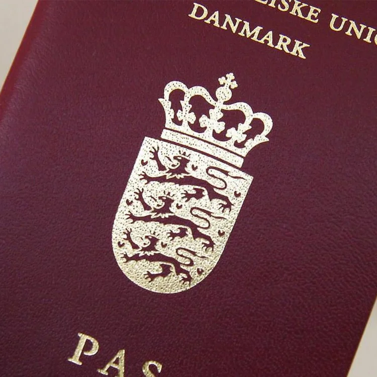 udlændingeret.jpg