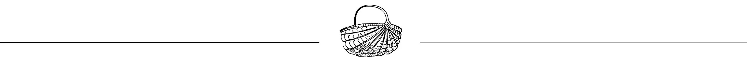 Untitled-2 copy.jpg
