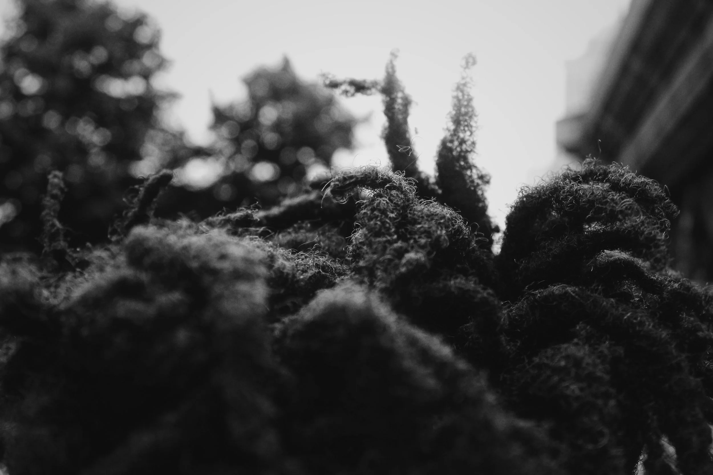 Photo Jun 16, 5 29 12 PM.jpg