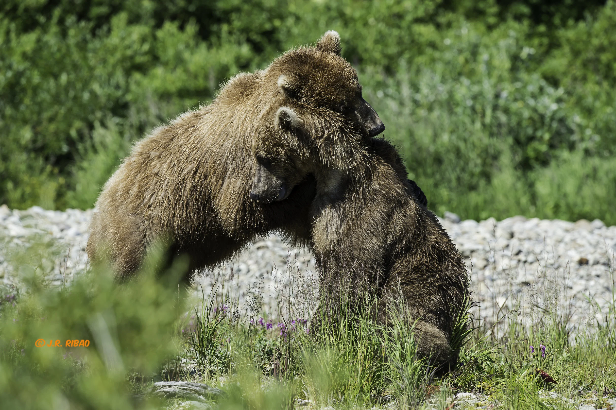 Aunque al final parece que todo se arregla con un abrazo fraternal