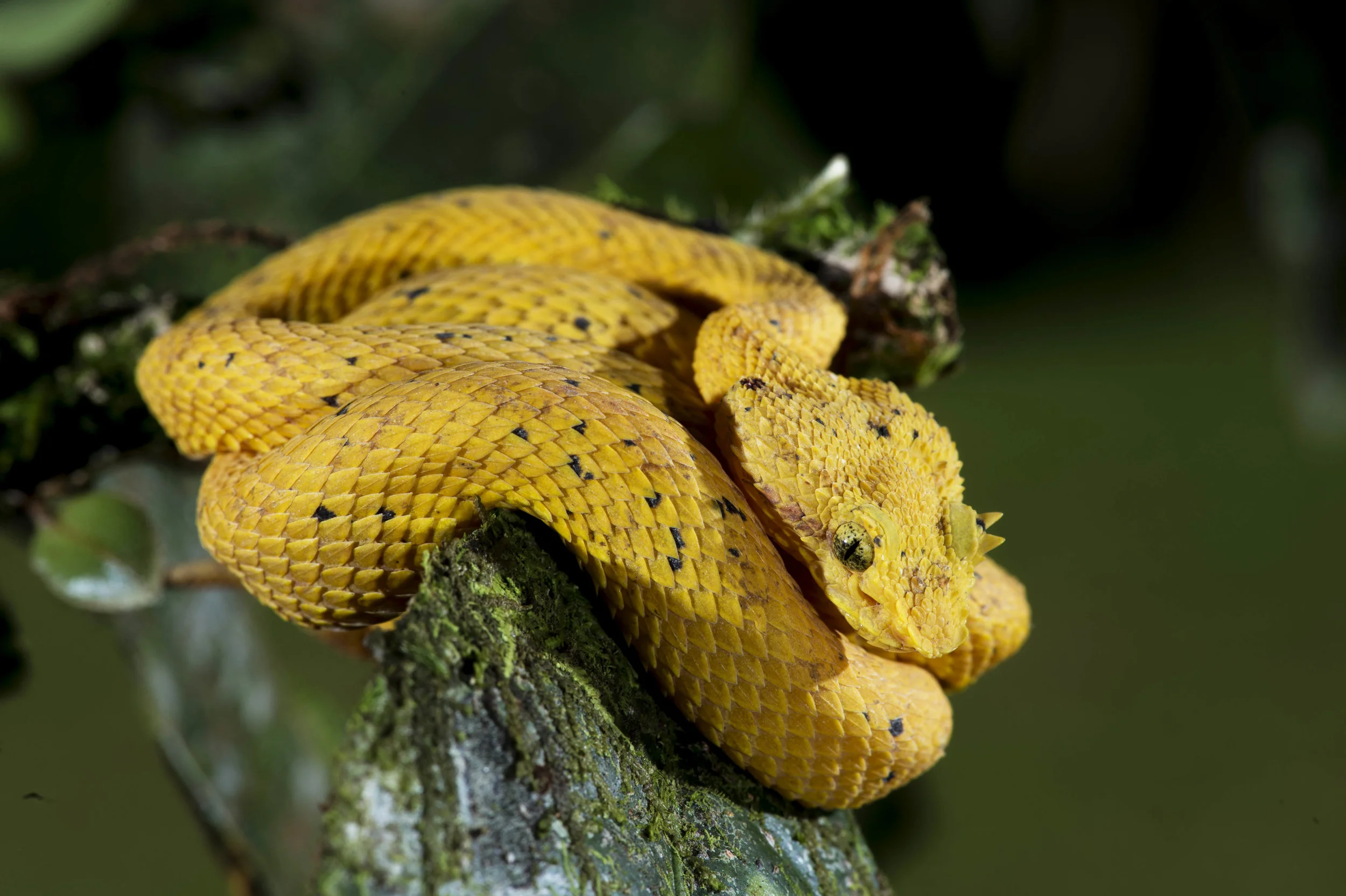 DSC_6928.jpg