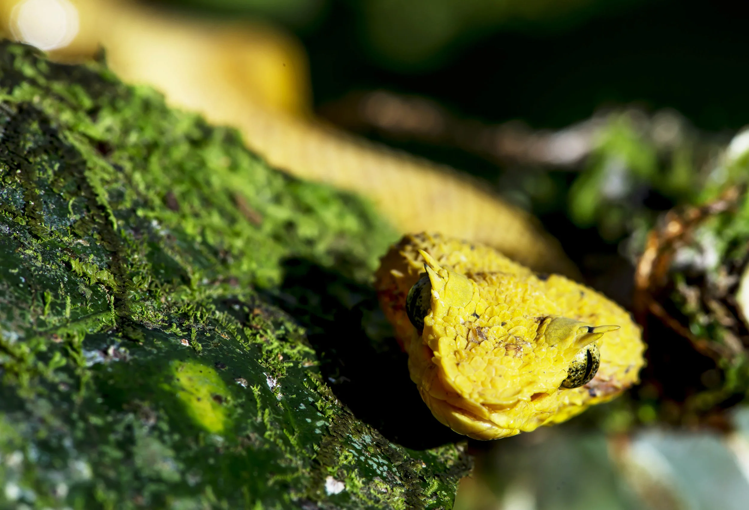 DSC_6922.jpg