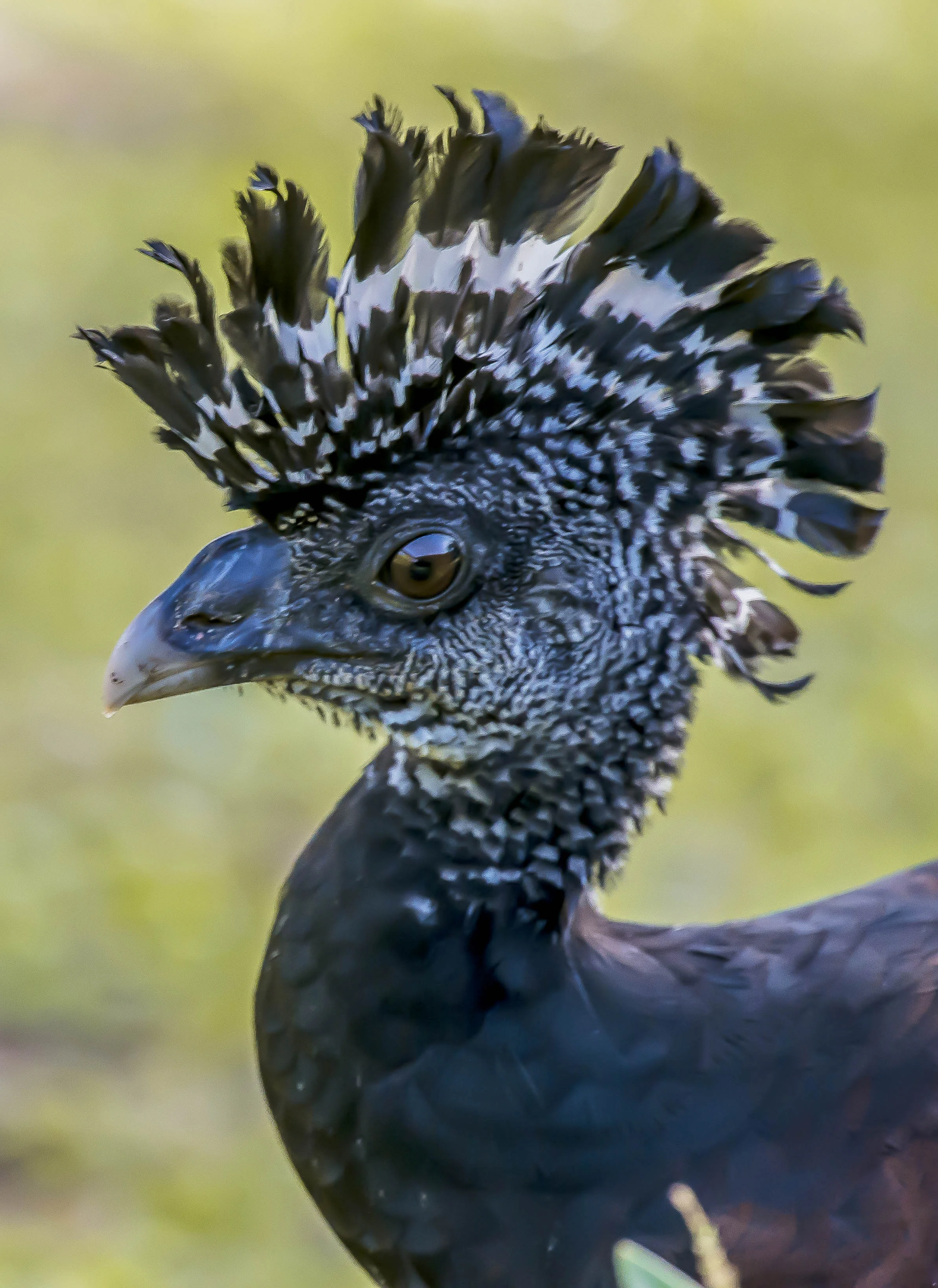 DSC_5116.jpg
