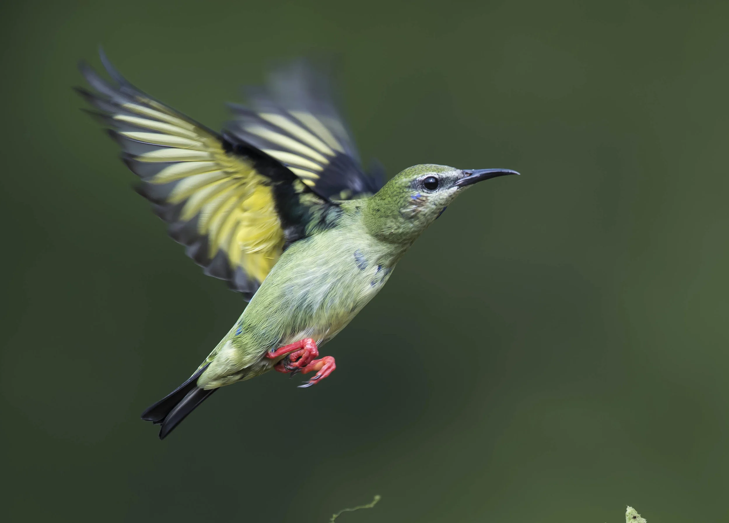 DSC_5466.jpg