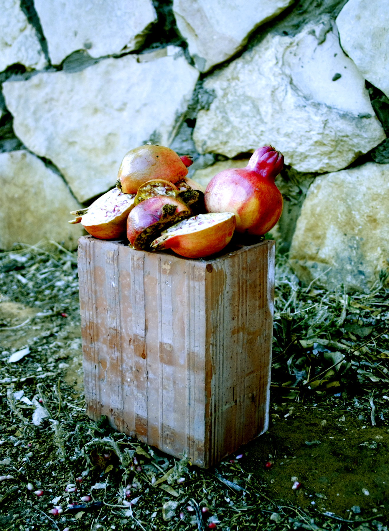 2-*a.-Brick-Pomegranagte.jpg