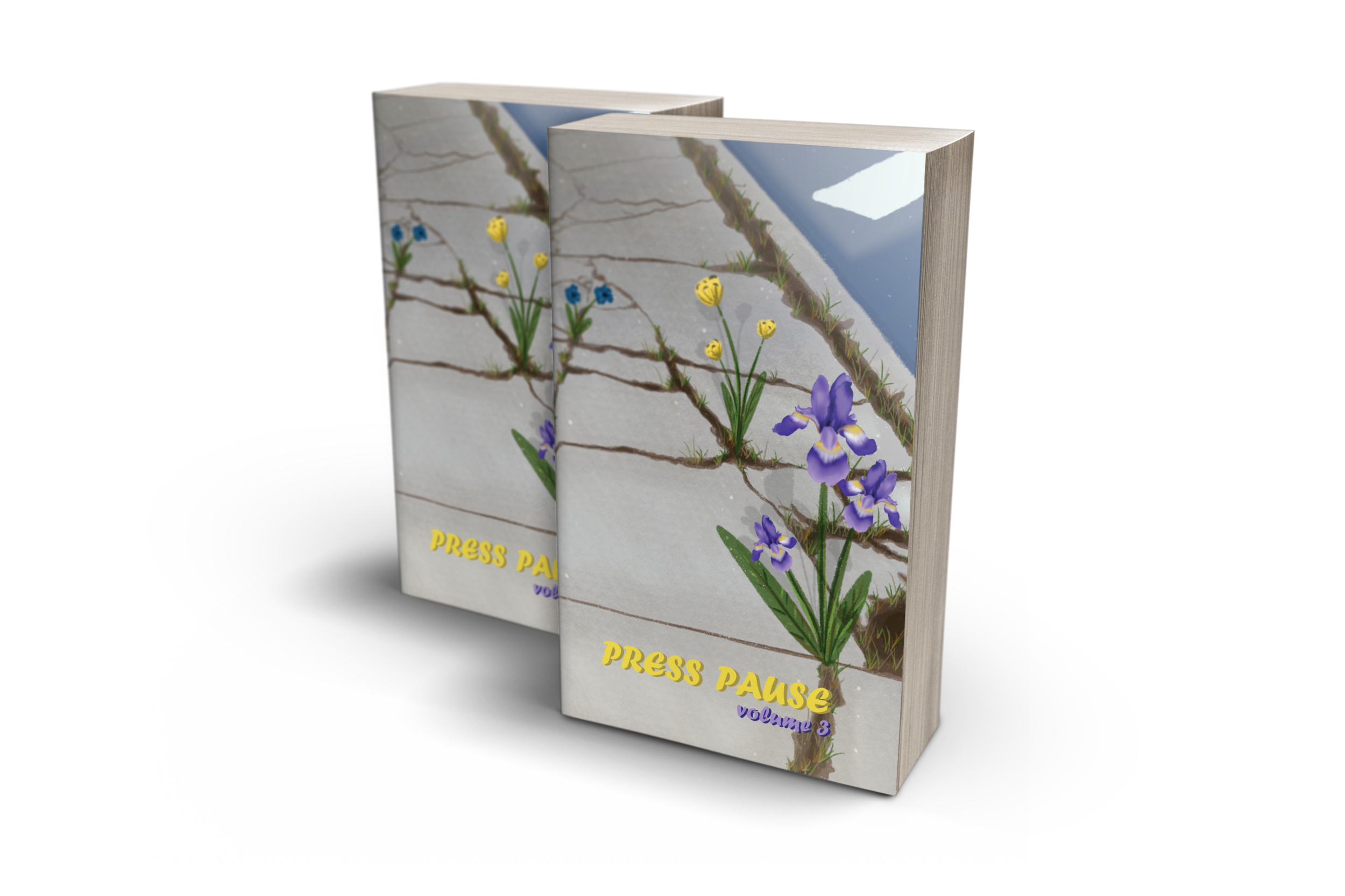 PPP3 Display Book for Website.png