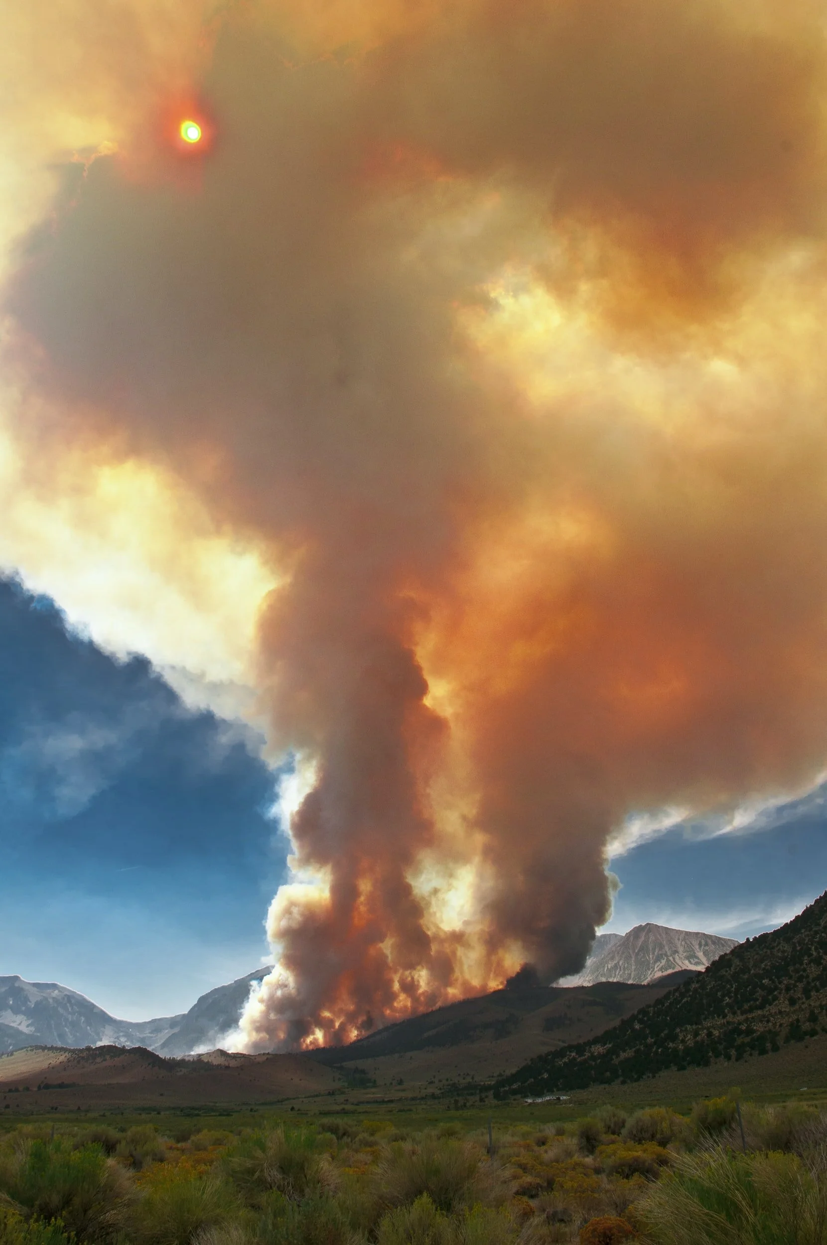 Inferno in the American Forest