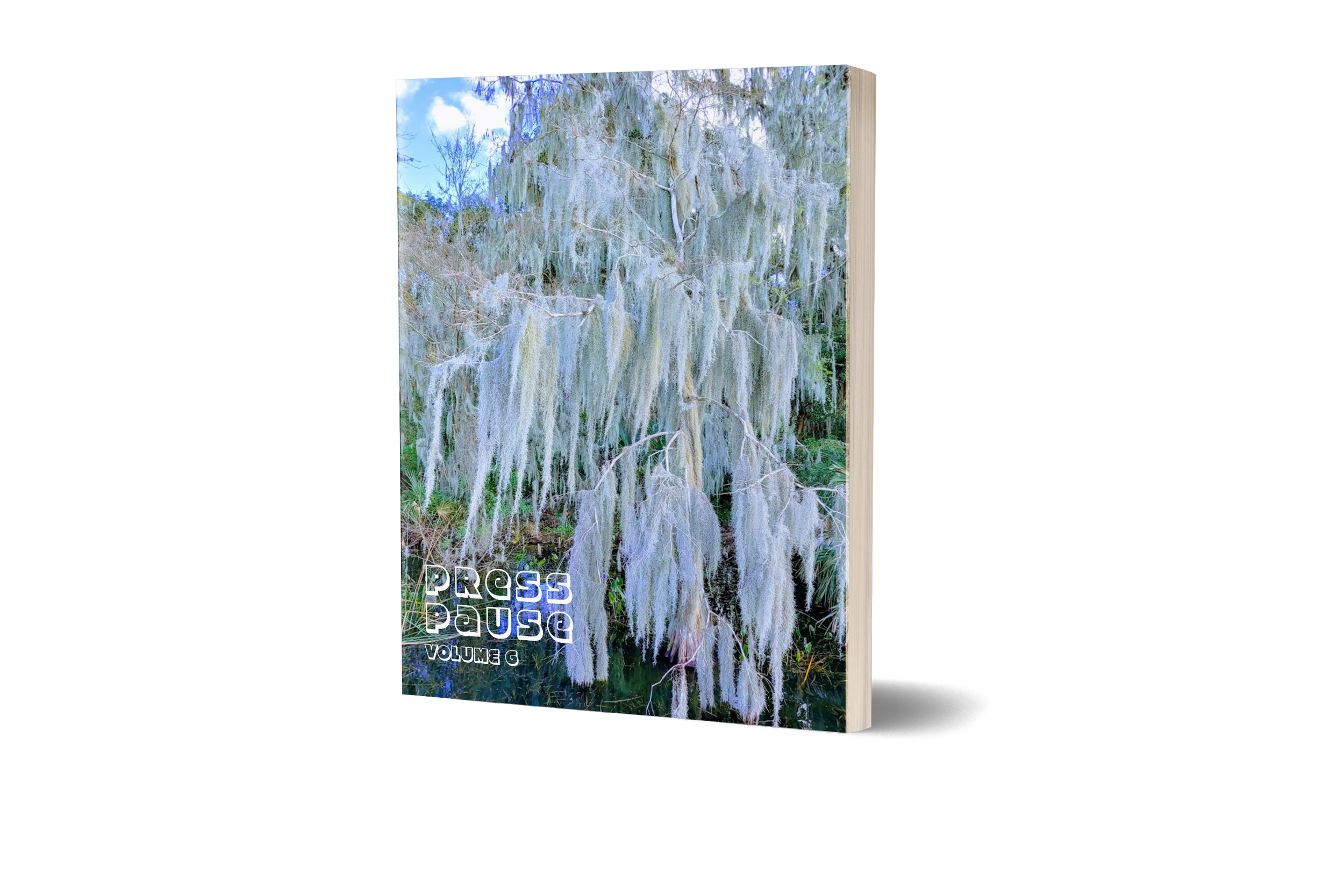 PPP V6 Display Book.png