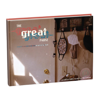 The Great Pause: Rearview 2020