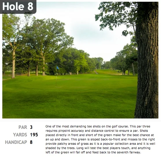 hole8.jpeg