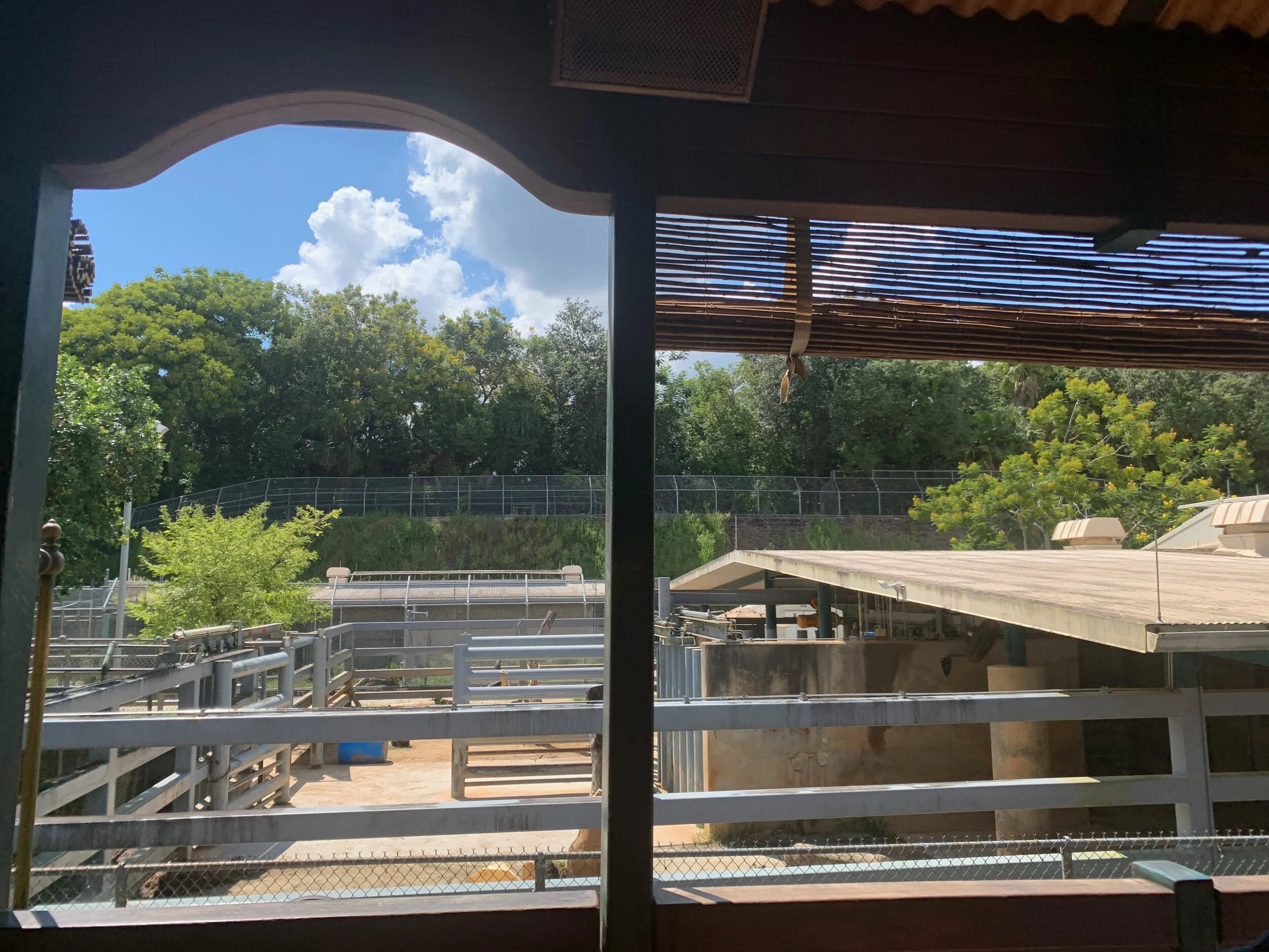 View from the train