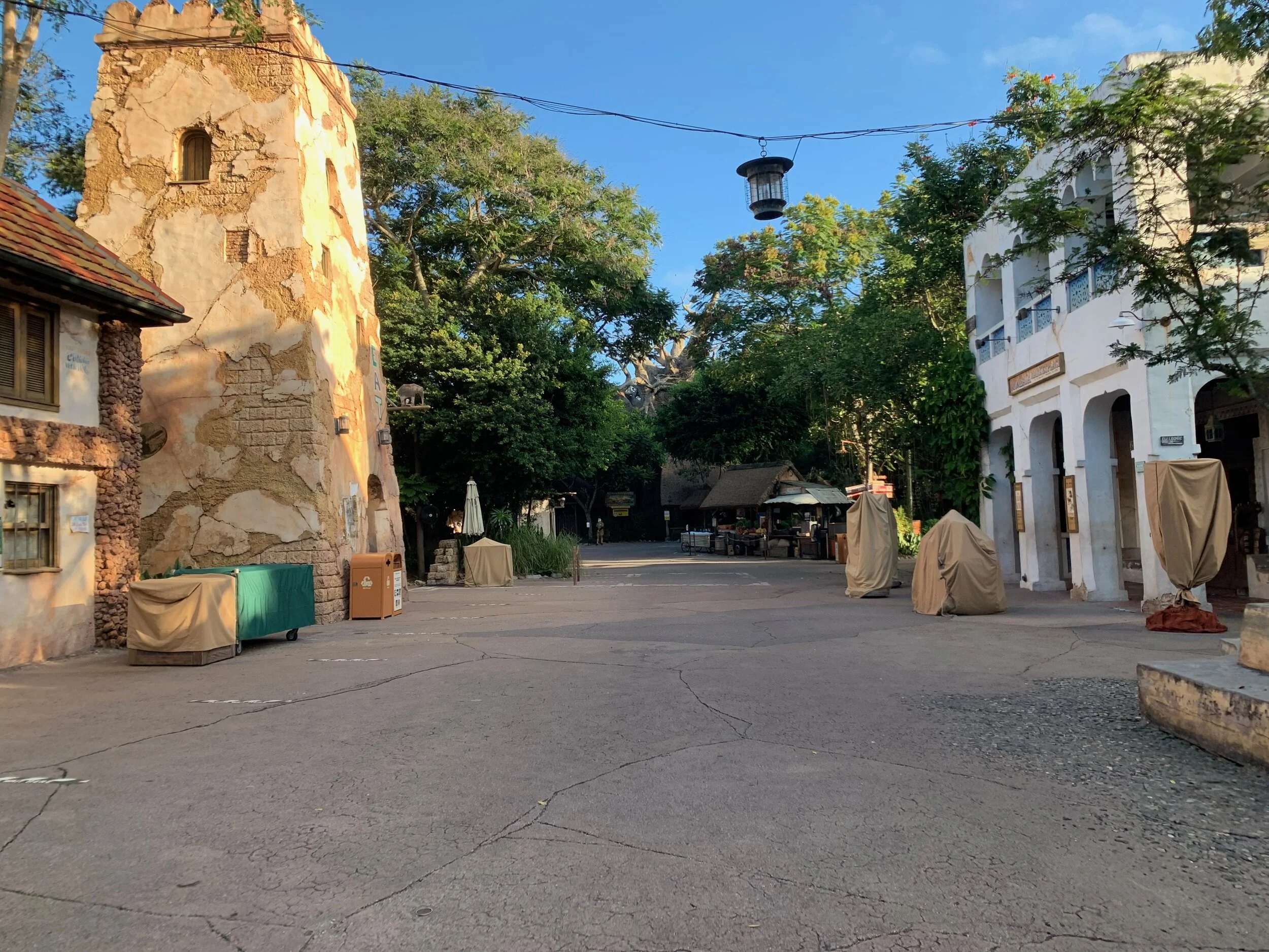 Animal Kingdom to ourselves
